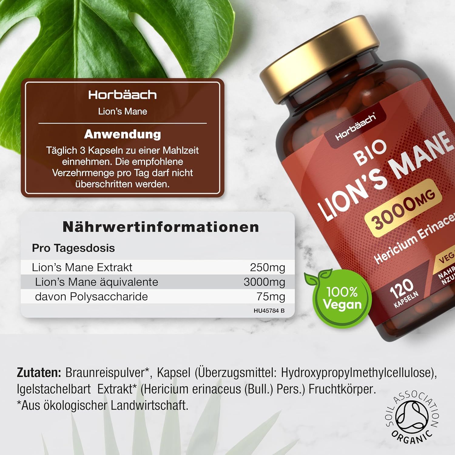 Bruine fles met capsules. Tekst: BIO LION'S MANE 3000mg, 120 capsules, Vegan. 100% Vegan zegel. Voedingswaarde.