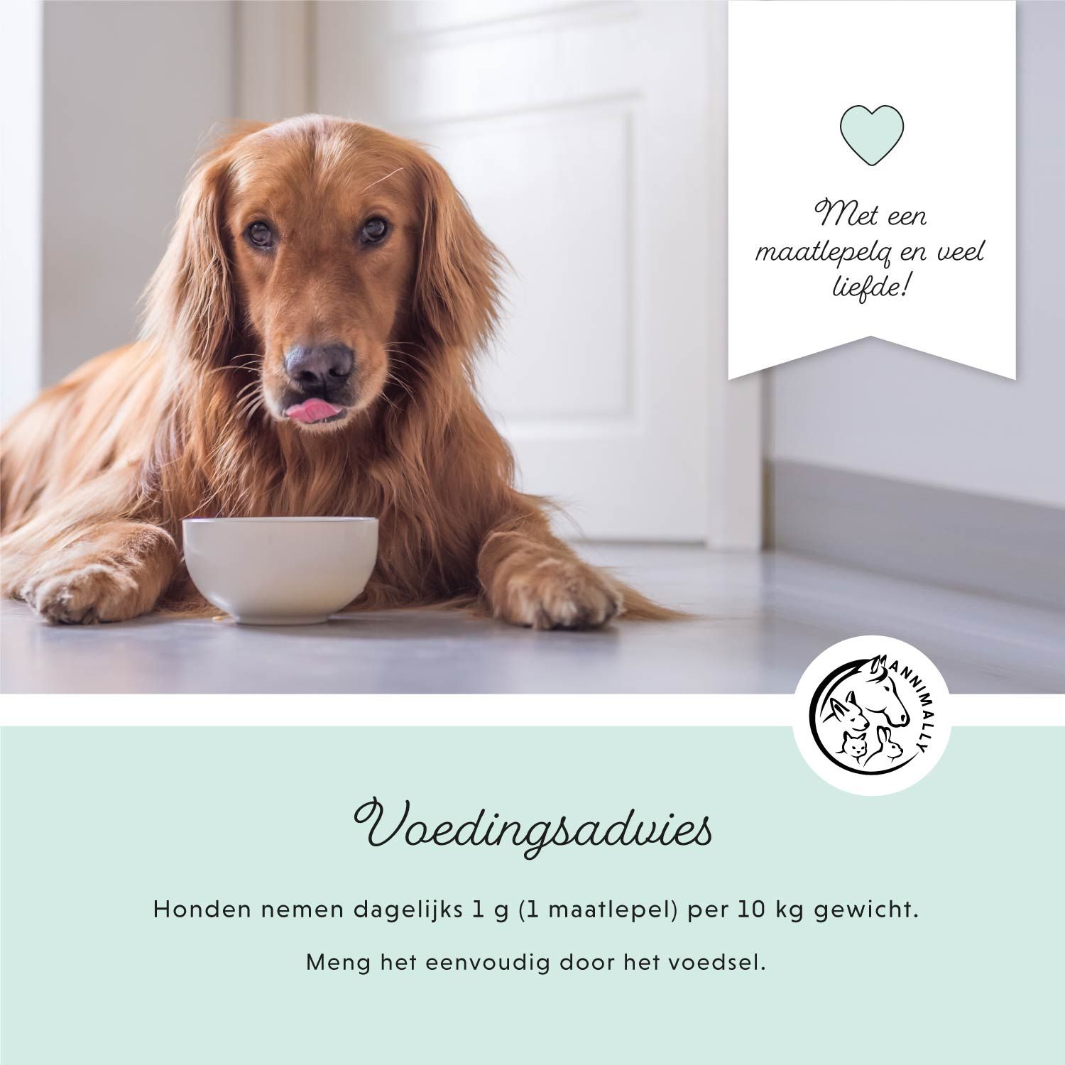 Golden Retriever met kom. Tekst: Voedingsadvies. Logo. Tekst: Met een maatlepel en veel liefde!