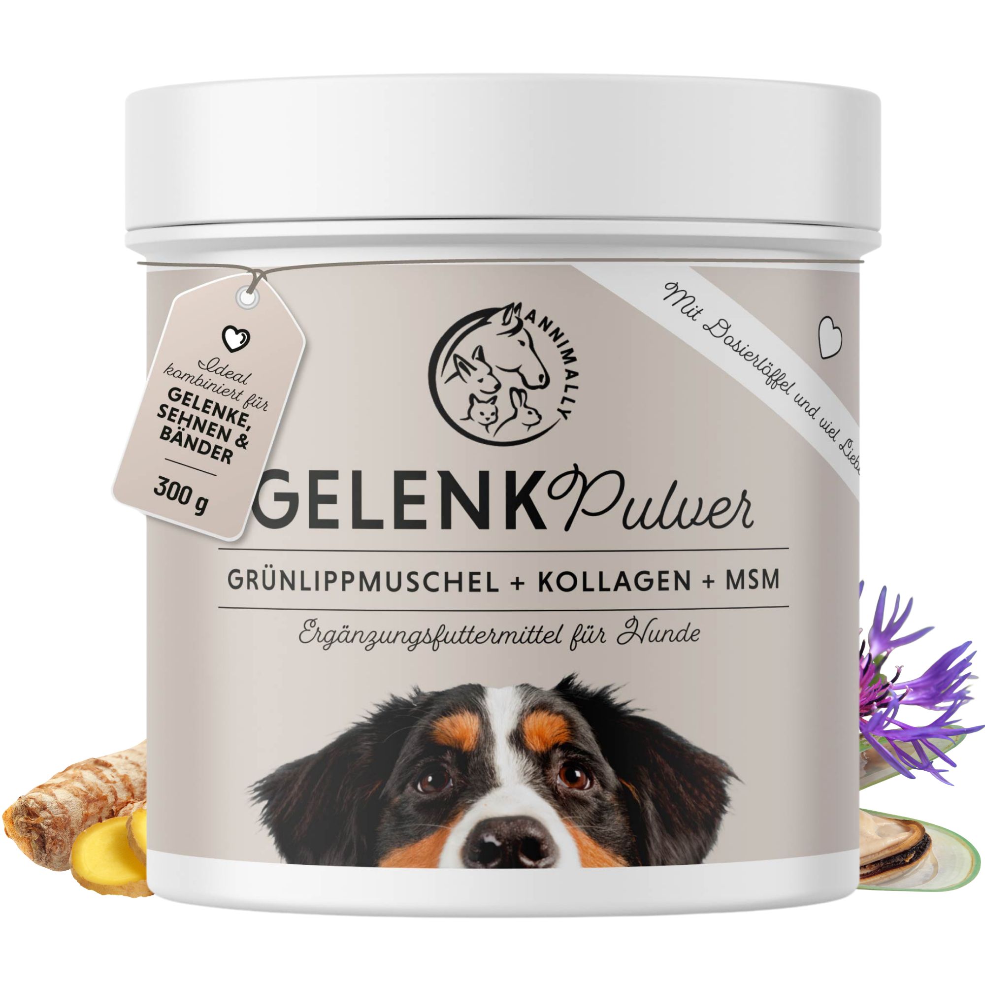 Pot Annimally Gelenkpulver, 300g. Avec cuillère doseuse. Contient moule verte, collagène, MSM. Aliment complémentaire pour chiens.