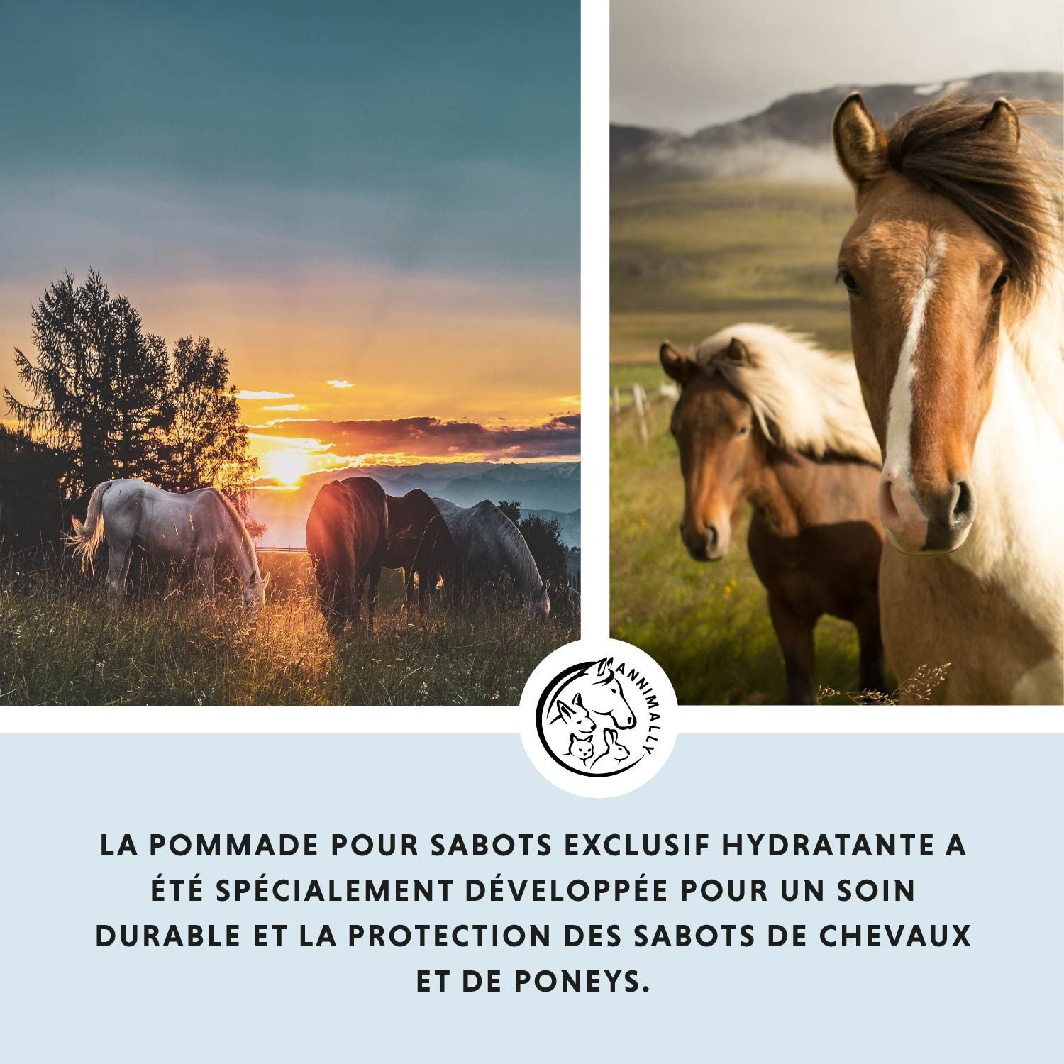 Deux chevaux dans un champ. Texte : La pommade hydratante pour sabots a été spécialement développée pour le soin et la protection des sabots.