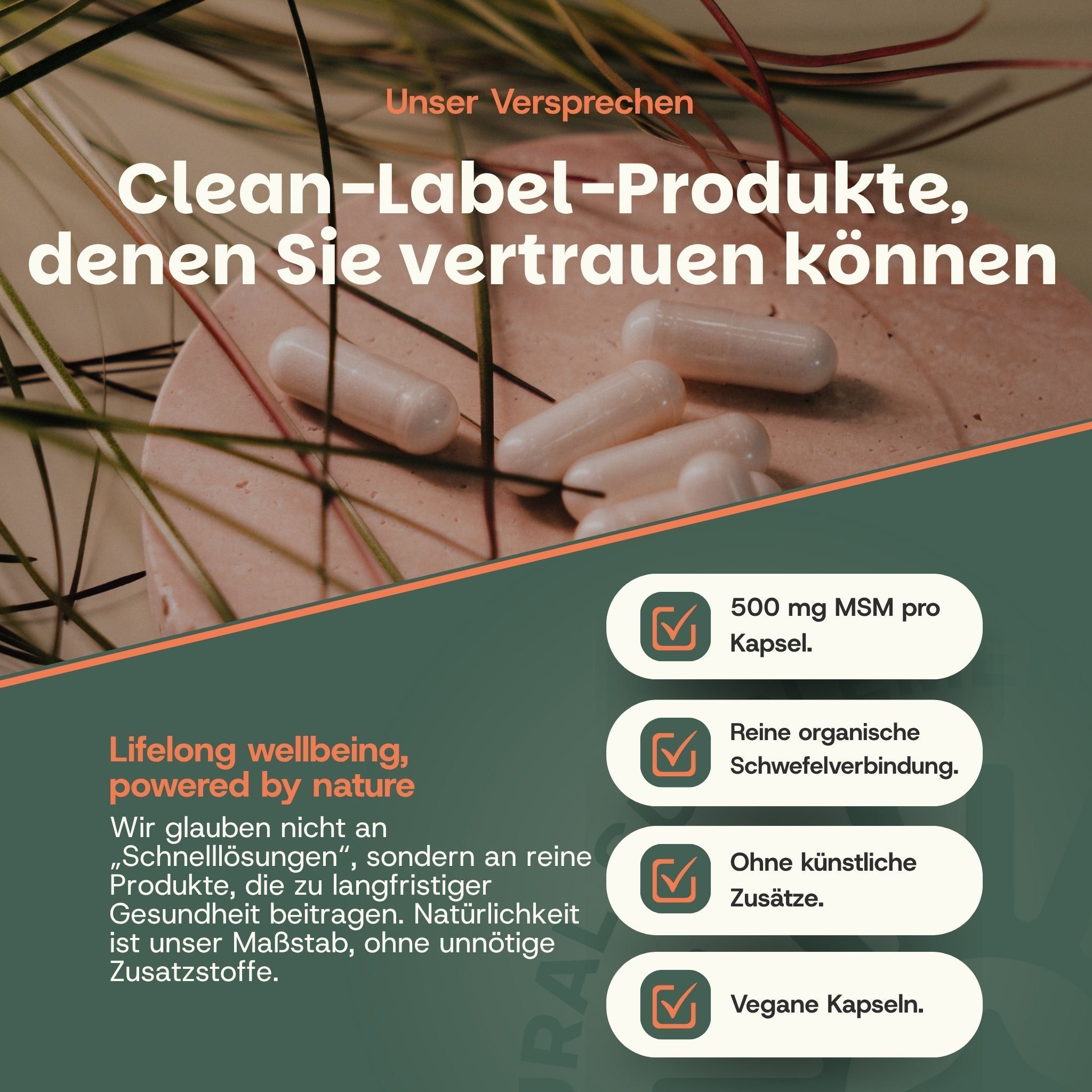 Plusieurs gélules blanches sur une surface ronde et claire, entourées d'herbes. À droite, détails sur 500 mg de MSM, composé soufré organique, sans additifs et gélules véganes.