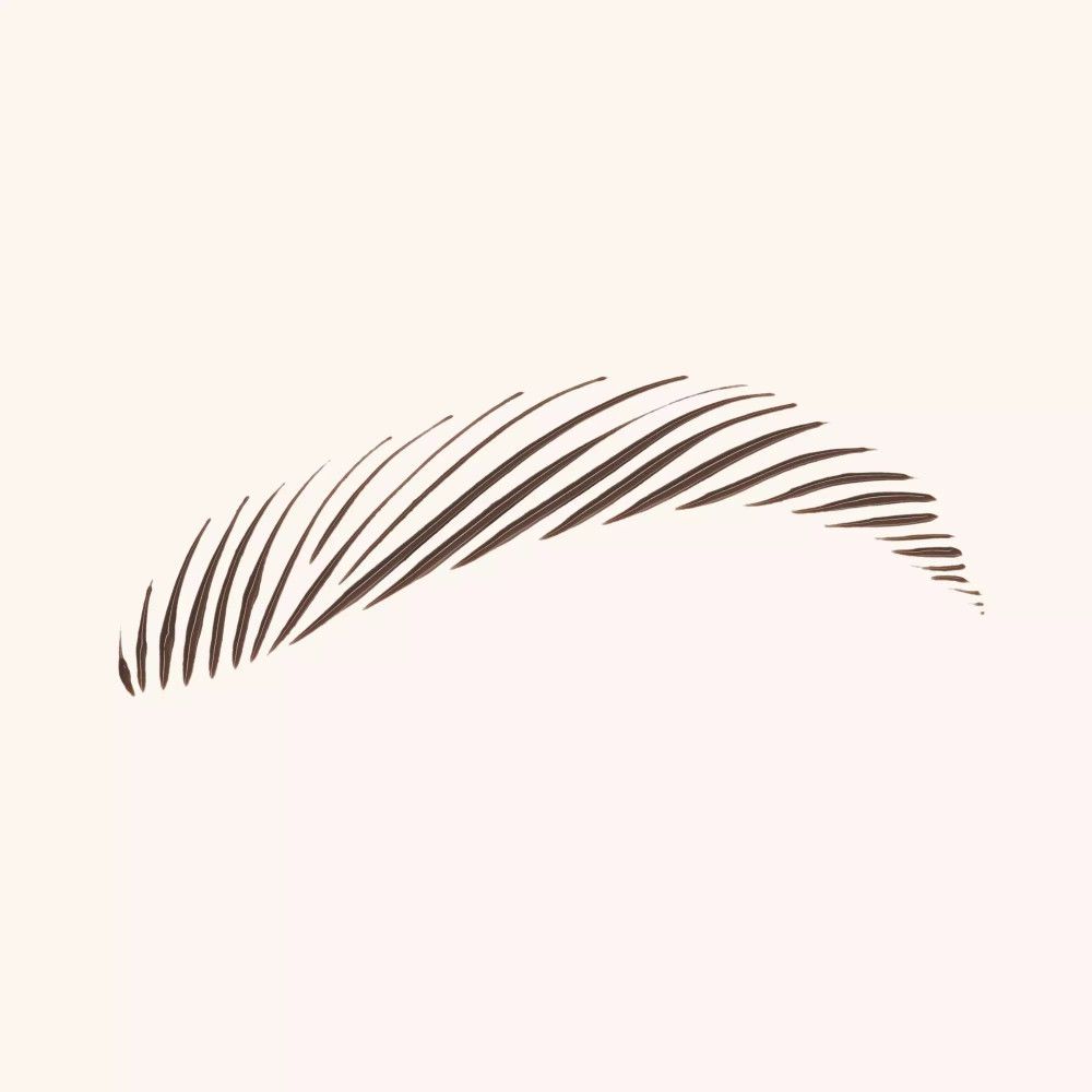 Illustration de sourcils. Traits bruns formant la forme d'un sourcil. Sur fond clair.