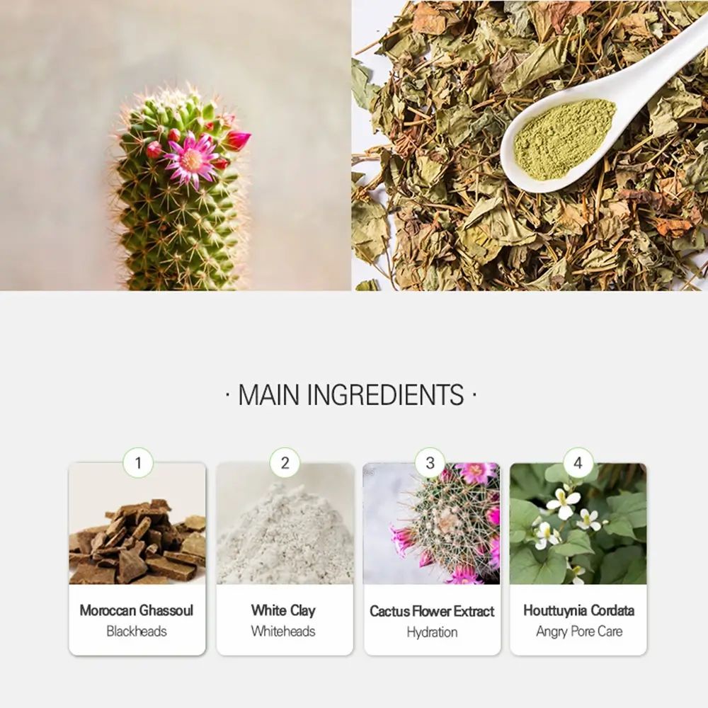 Aperçu des ingrédients : extrait de fleur de cactus, argile ghassoul, argile blanche et Houttuynia Cordata.