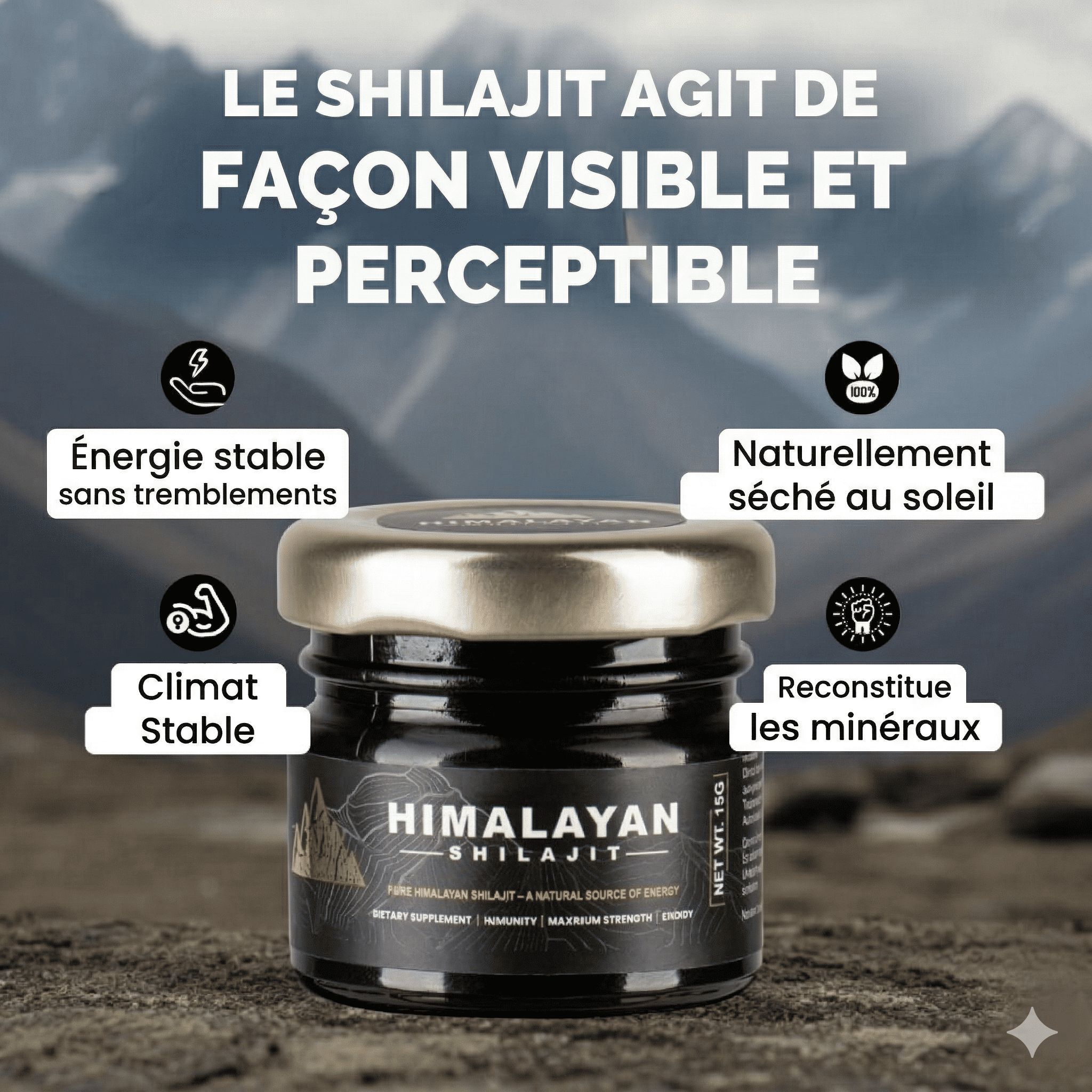 Pot de Shilajit et cuillère doseuse. Texte : Le Shilajit agit de manière visible et perceptible. Graphiques avec avantages : énergie, minéraux.