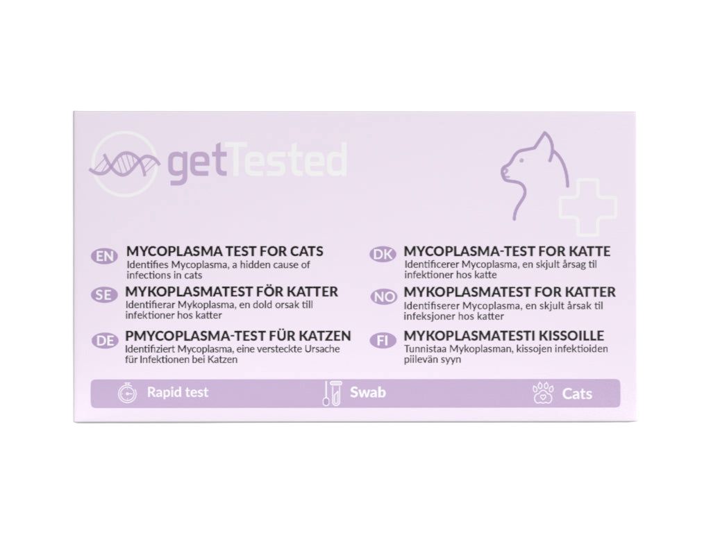 Test GetTested Mycoplasma pour chats. Informations multilingues, dont le français. Symboles : test rapide, écouvillon, chats.