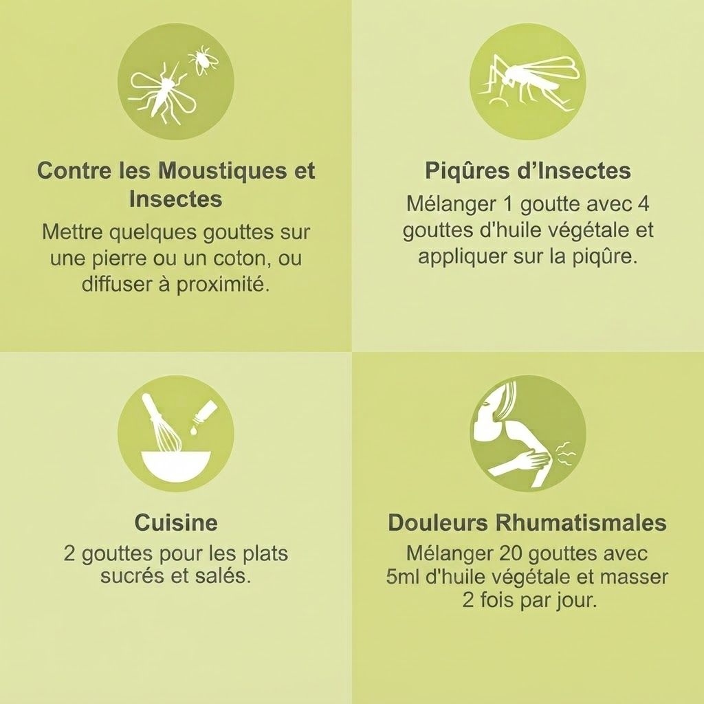 Quatre vignettes d'infographie : moustiques, piqûres d'insectes, cuisine, douleurs rhumatismales avec pictogrammes et texte.