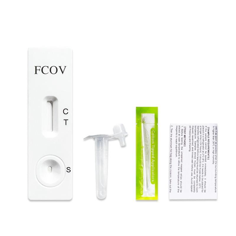 Bandelette de test blanche avec FCOV, C, T, S. Comprend pipette, écouvillon et notice.