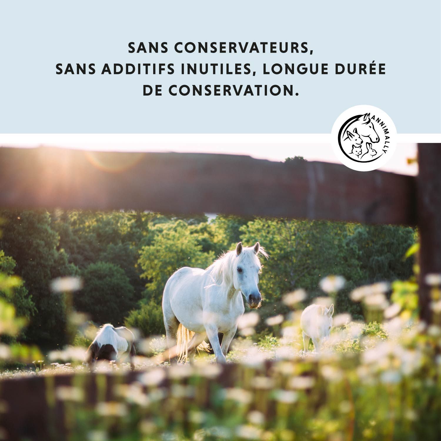 Chevaux dans un champ. Texte : Sans conservateurs, sans additifs inutiles, longue durée de conservation. Logo.