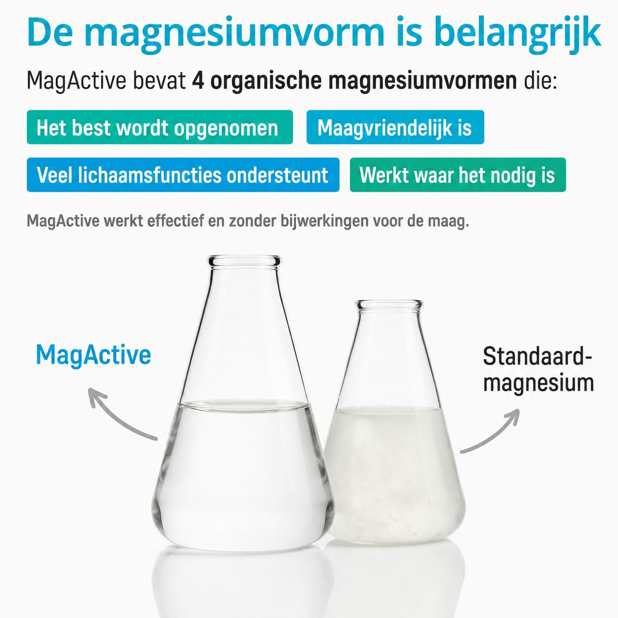 Twee erlenmeyerkolven met vloeistof. Eén is gelabeld 'MagActive', de andere 'Standaard-magnesium'.