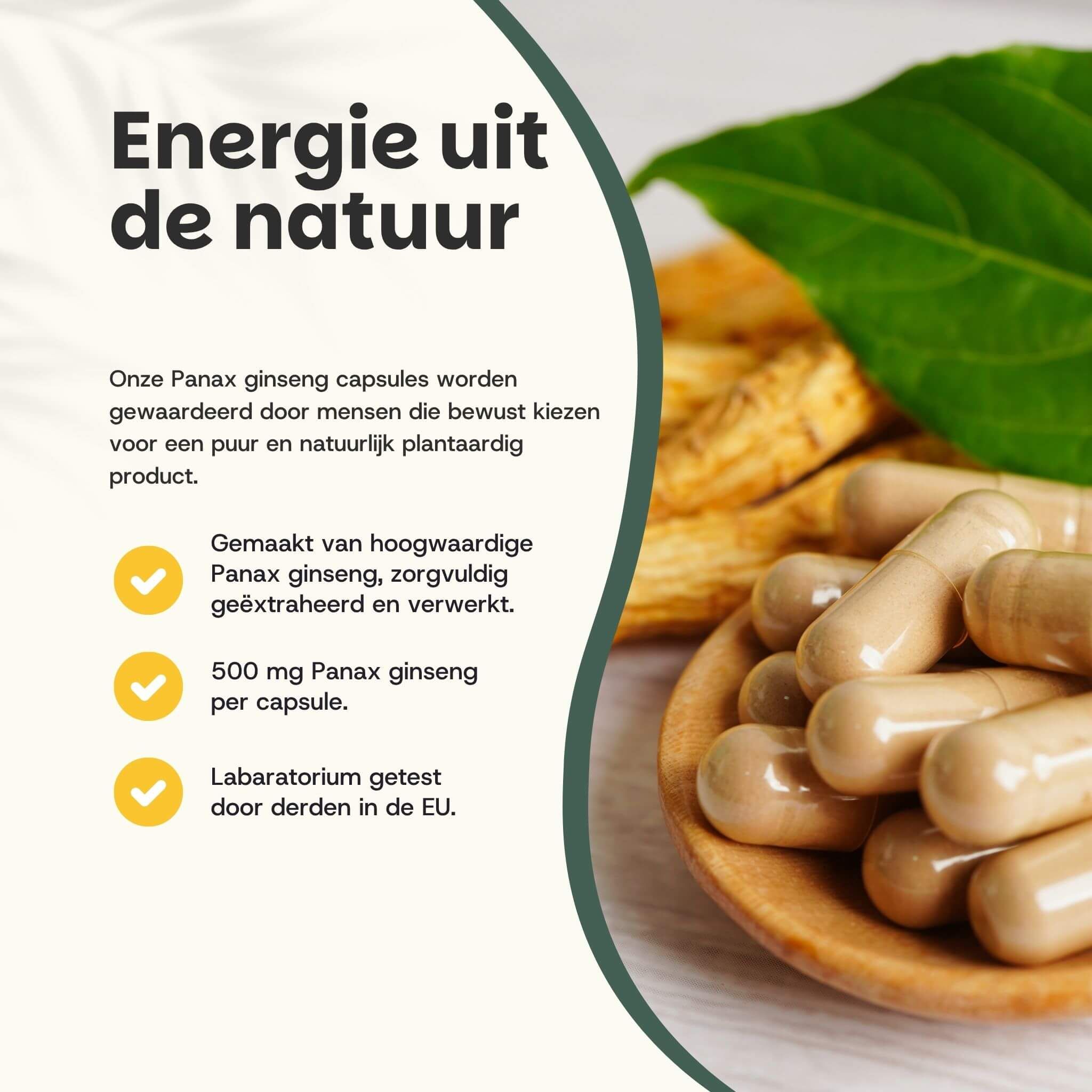 Houten lepel met capsules. Tekst: 500 mg Panax ginseng per capsule. Laboratorium getest in de EU.