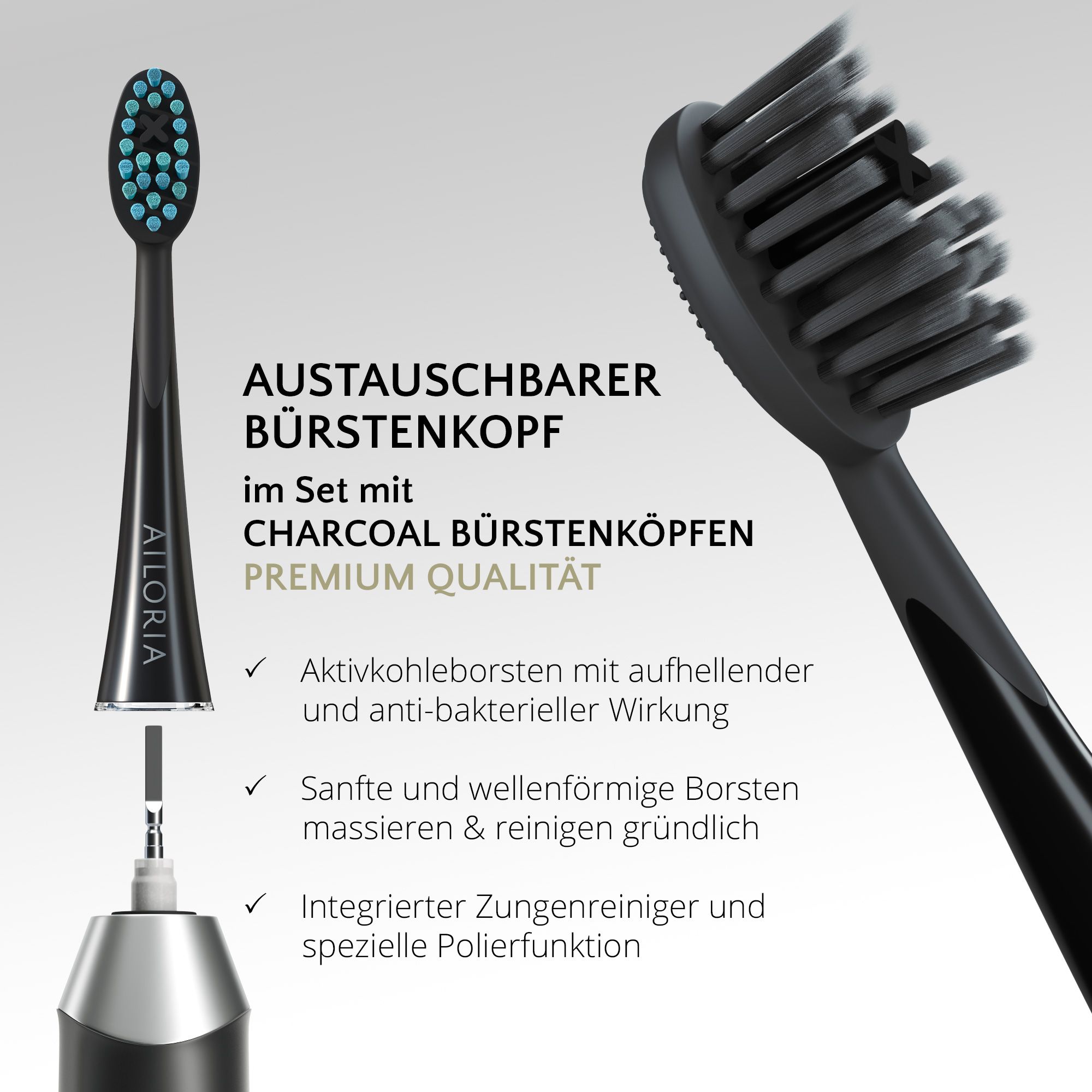Gros plan sur la tête de brosse. Texte : Tête de brosse remplaçable avec têtes de brosse au charbon. Qualité supérieure.