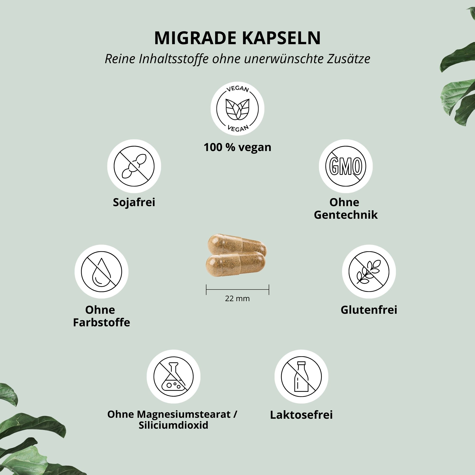 nutri+ Migrade
