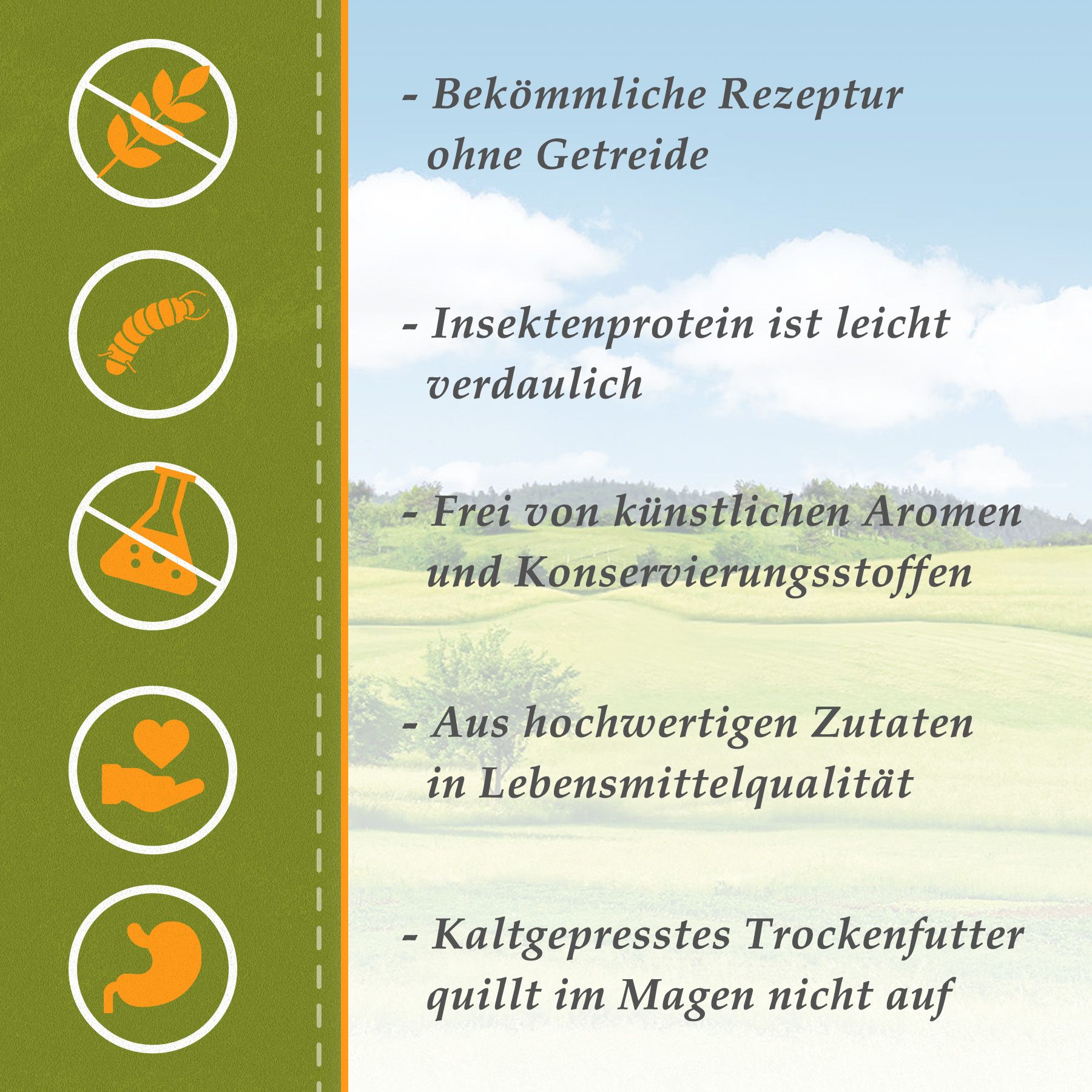Graphique avec symboles et texte. Thèmes : sans céréales, protéines d'insectes, sans additifs artificiels, ingrédients de qualité, pressé à froid.