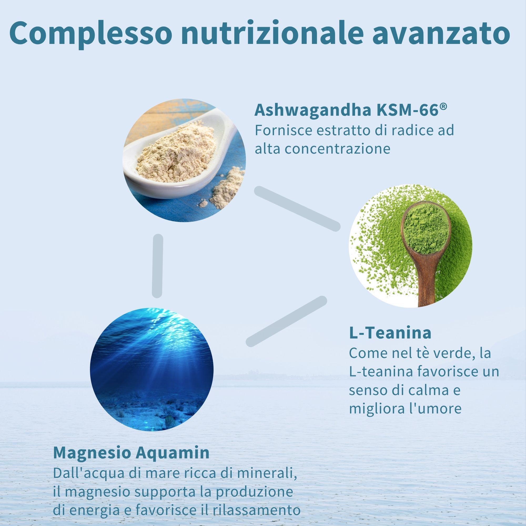 Graphique avec symboles et explications pour Ashwagandha, L-Théanine et Magnésium.