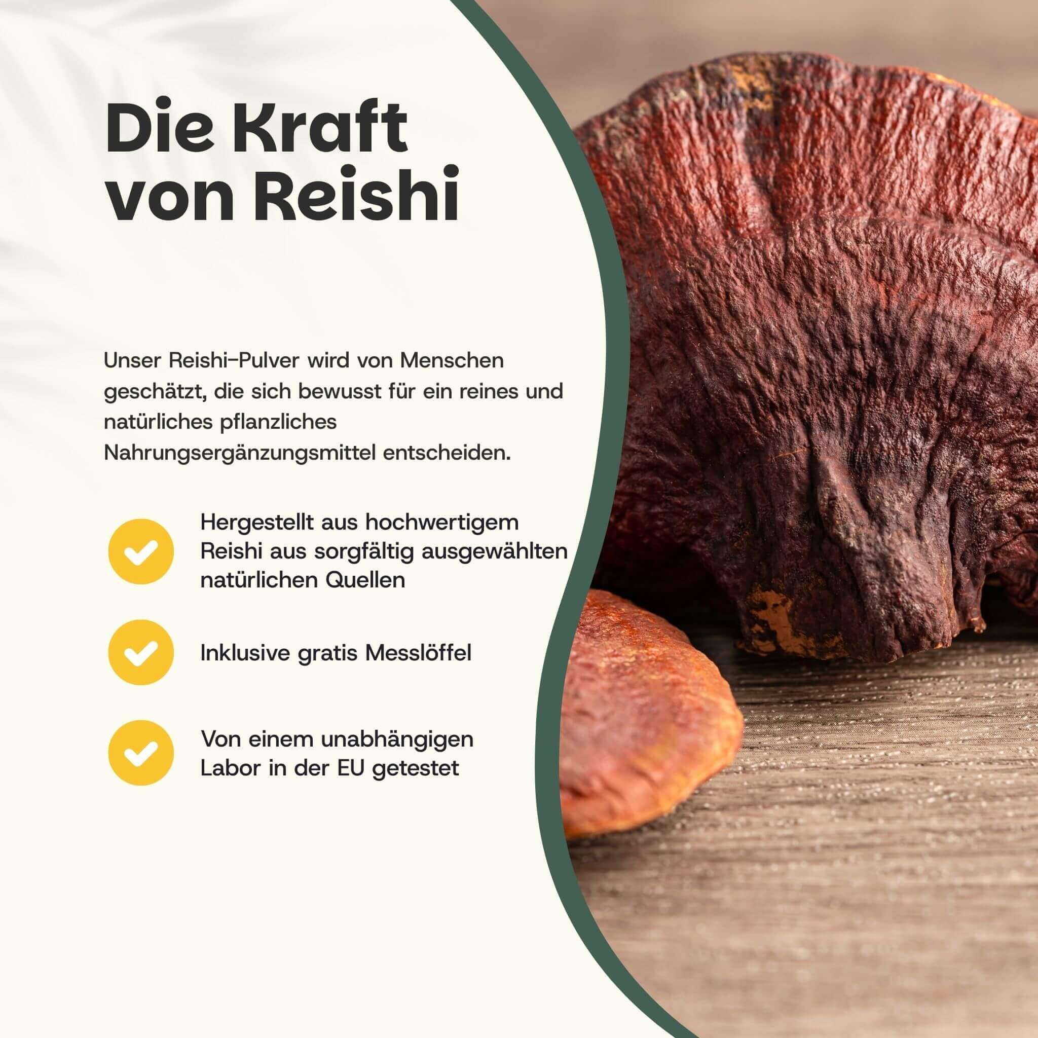 Reishi paddenstoelpoeder uit natuurlijke bronnen, maatlepel inbegrepen. Getest door onafhankelijk laboratorium in de EU.