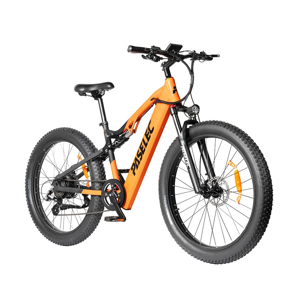 Paselec GS9 VTT électrique, batterie amovible 48 V 16 Ah