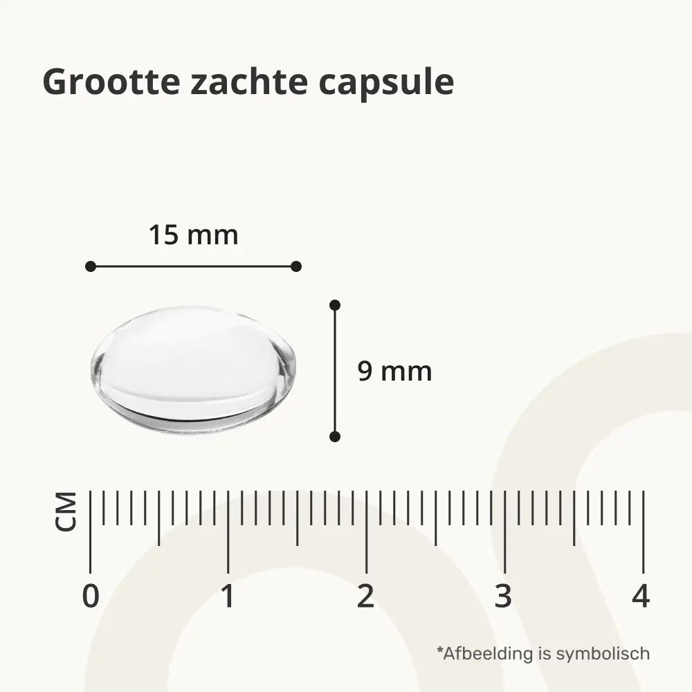 Grootte van een softgel: 15 mm lang, 9 mm breed. Liniaal toont centimeters.