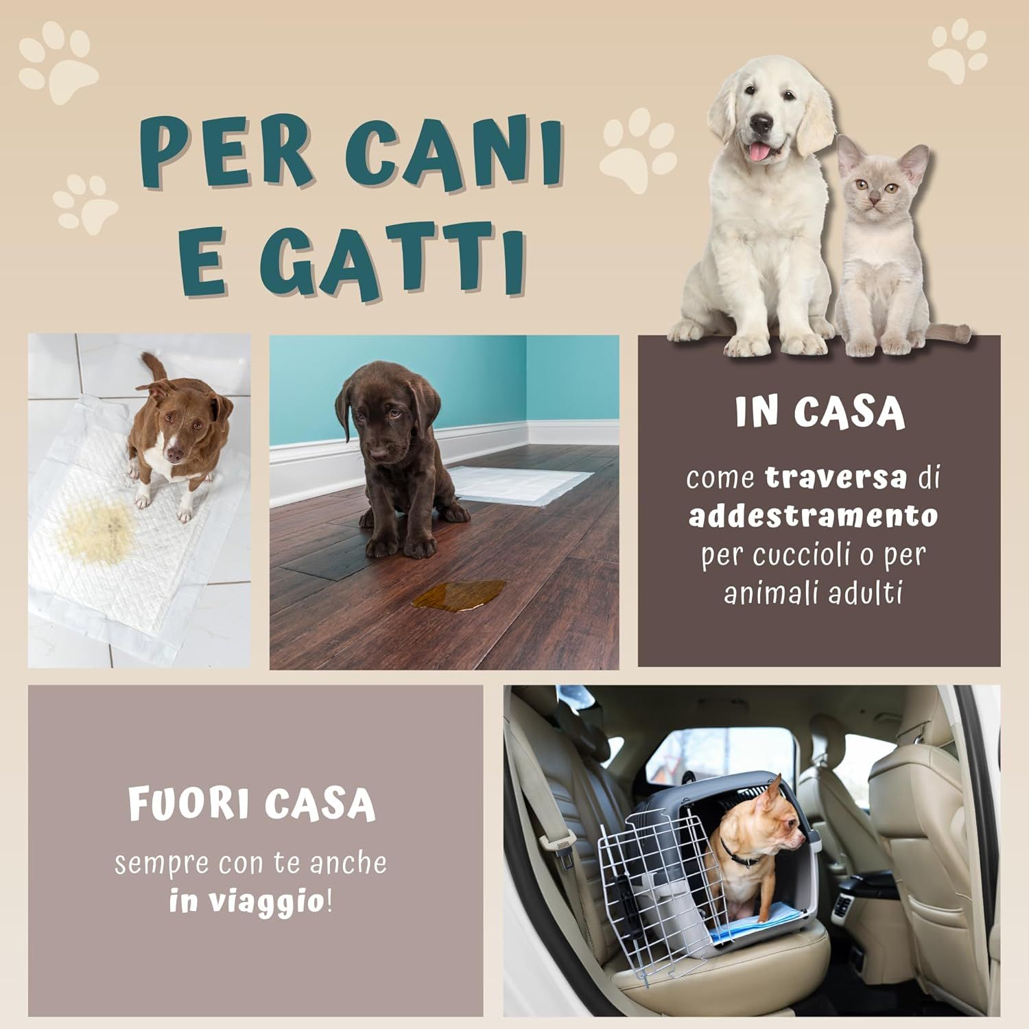 Exemples d'utilisation des tapis pour chiens : à la maison et en déplacement. Chiens et chats dans différentes situations.