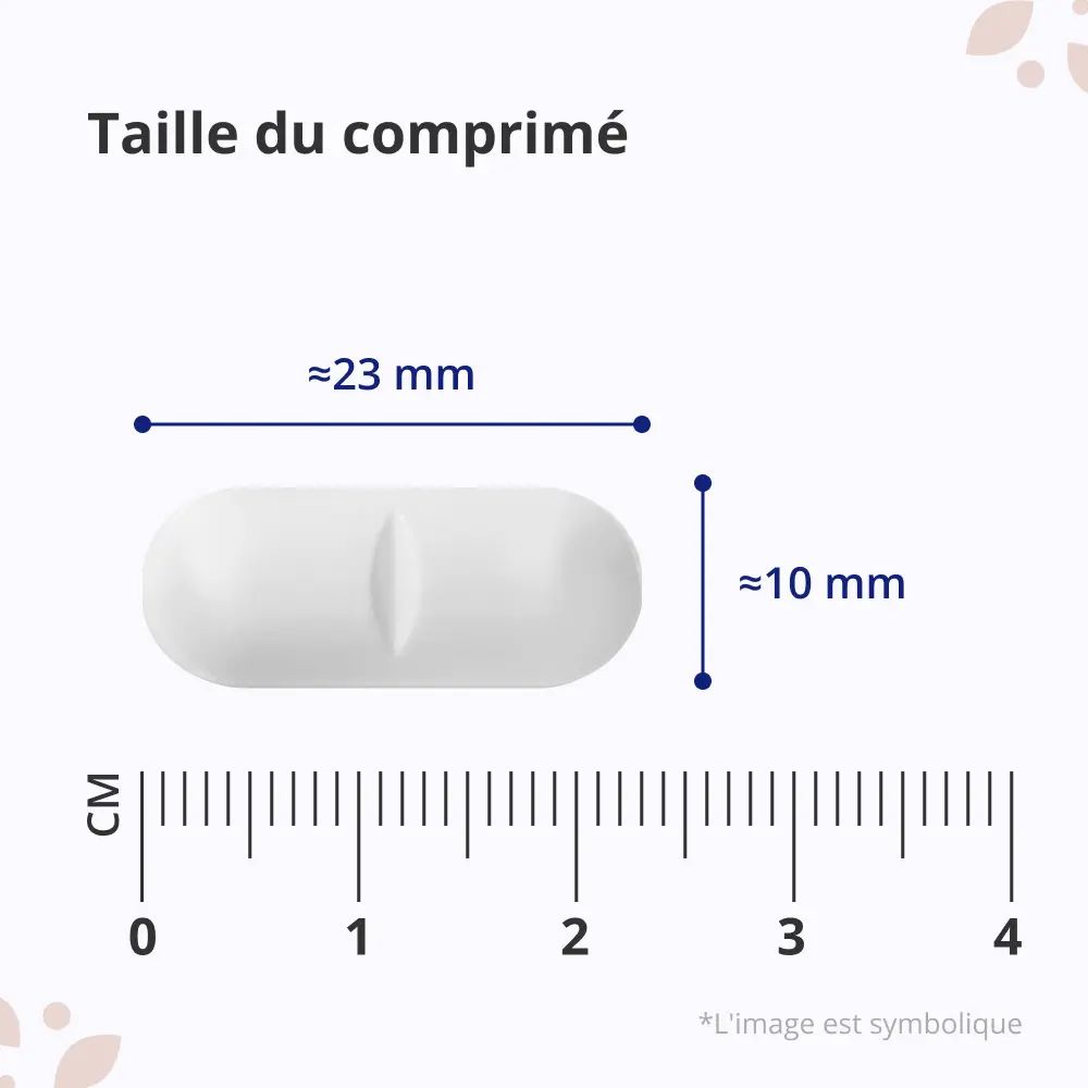 Comprimé blanc ovale avec une rainure. Dimensions : environ 23 mm x 10 mm. Inscription : Taille du comprimé.