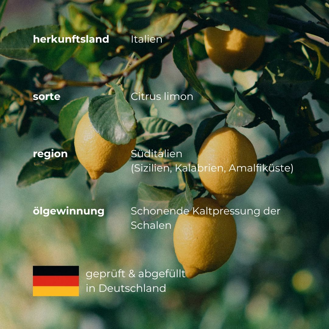 Citrons sur une branche. Texte sur le pays d'origine, la variété, la région et l'extraction d'huile. Drapeau.