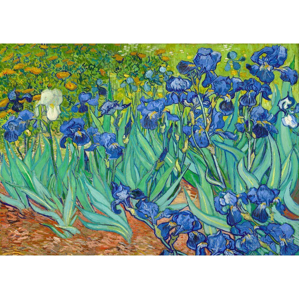 enjoy Puzzel Vincent Van Gogh: Iris 1000 delen
