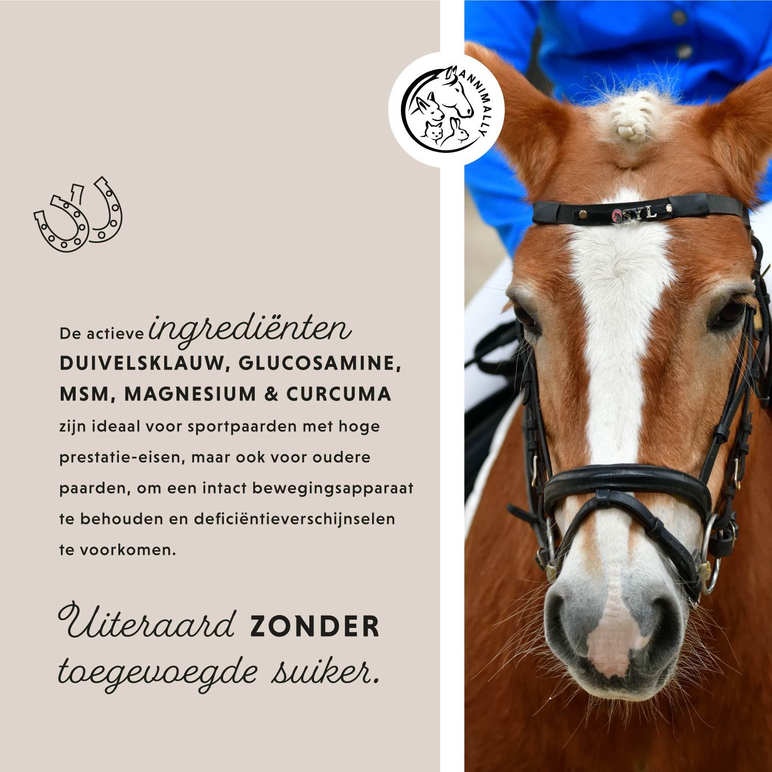 Paardenkop met hoofdstel. Tekst: Duivelsklauw, Glucosamine, MSM, Magnesium & Curcuma. Zonder toegevoegde suiker.