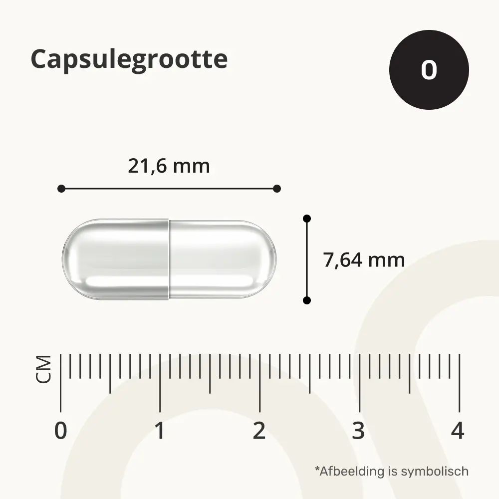 Een enkele capsule met afmetingen: Lengte 21,6 mm, breedte 7,64 mm. Een schaal toont centimeters.