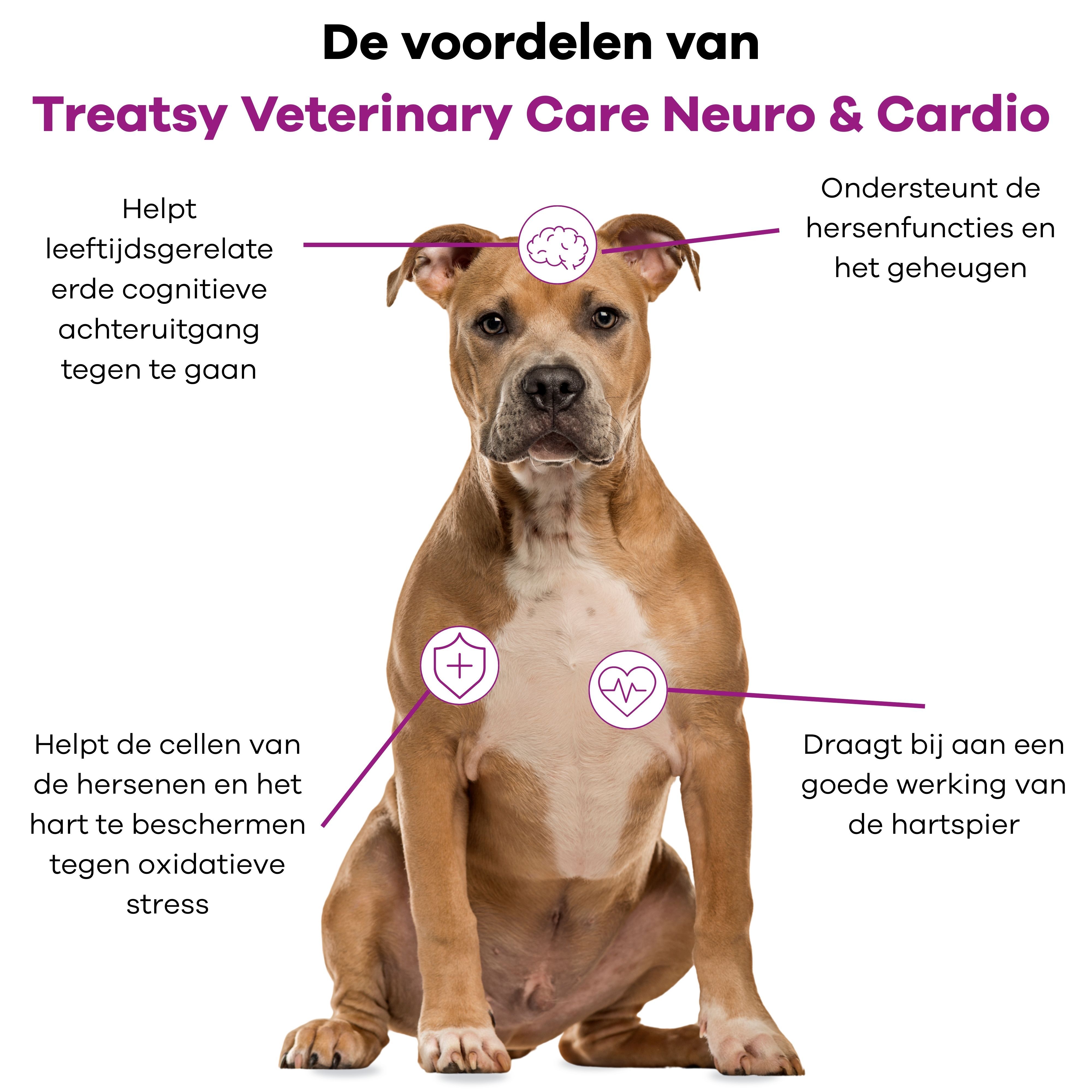 Hond met diagram. Voordelen van Treatsy Veterinary Care Neuro & Cardio. Tekst en symbolen voor hersenen en hart.