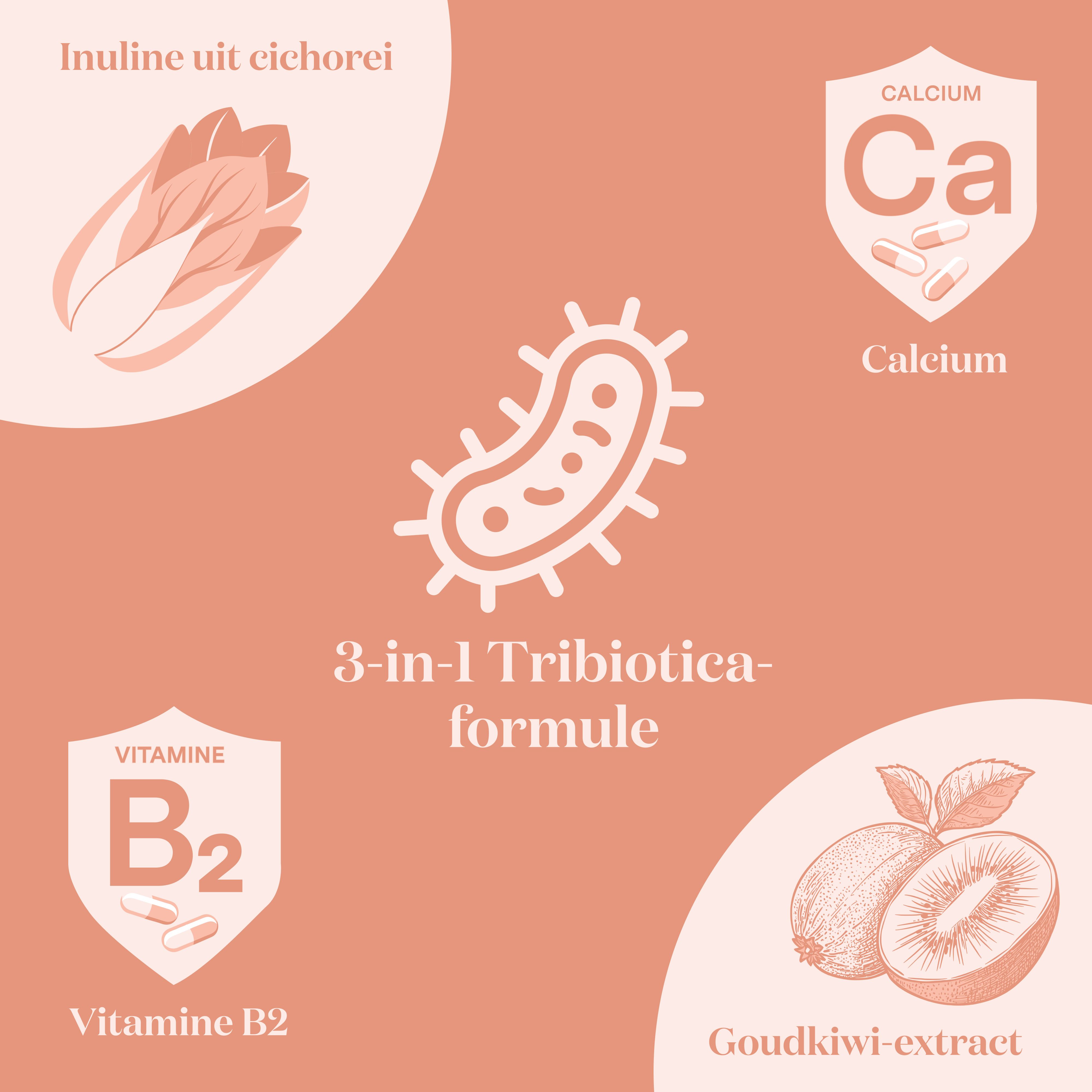 Glow25 Collageen: 2000 Dalton. Tripeptide-formule: 500 Dalton. Darmwandabsorptie.