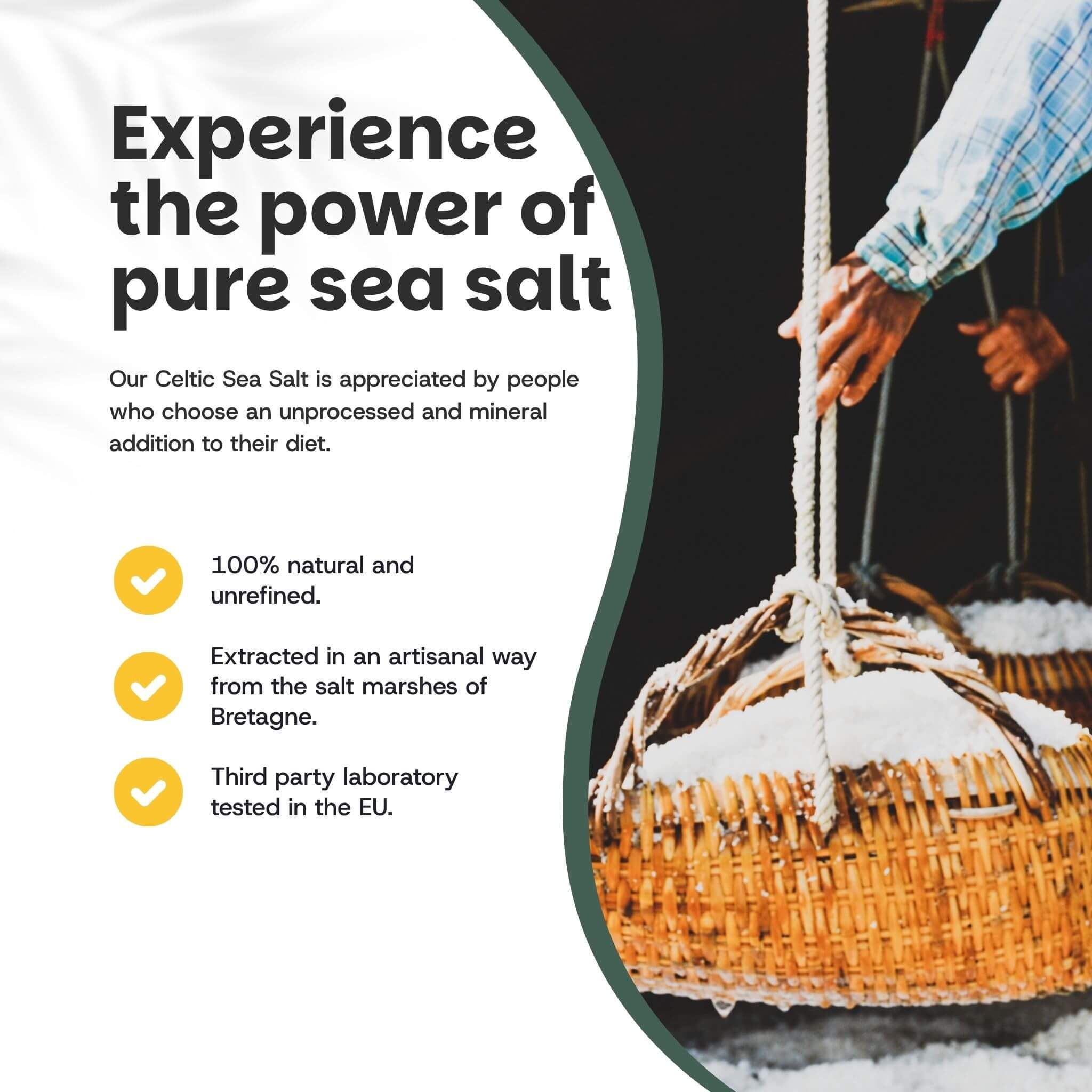 Récolte de sel marin celtique dans des paniers. 100% naturel et non raffiné. Des marais salants de Bretagne.