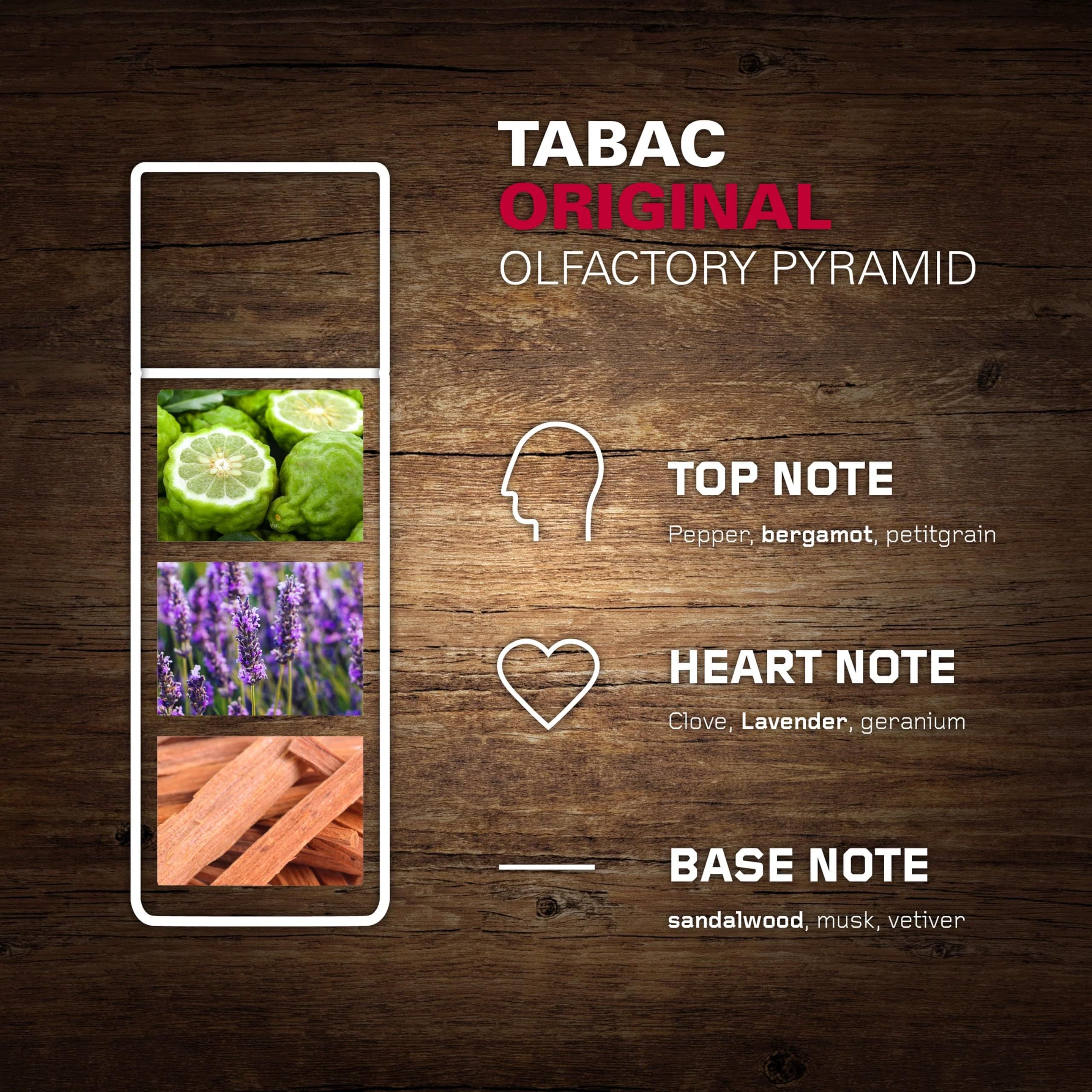 Graphique avec pyramide olfactive. En haut : bergamote. Au milieu : lavande. En bas : bois. Texte : Note de tête, Note de cœur, Note de fond.