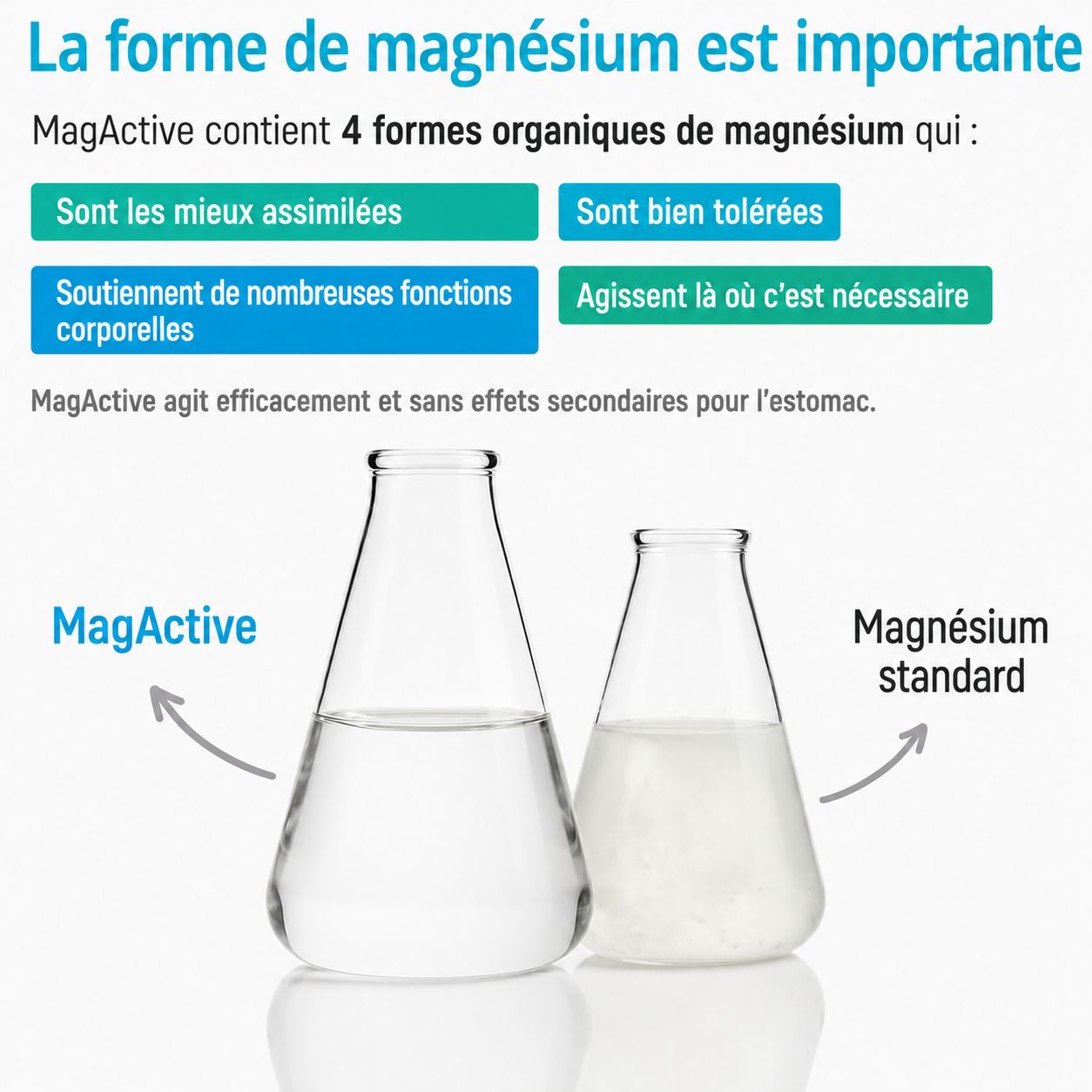 Deux flacons Erlenmeyer contenant des liquides. L'un est étiqueté 'MagActive', l'autre 'Magnésium standard'.