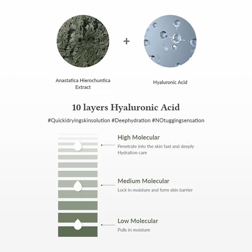 Grafiek met ingrediënten: Anastatica Hierochuntica extract en hyaluronzuur. Diagram met 10 lagen hyaluronzuur.