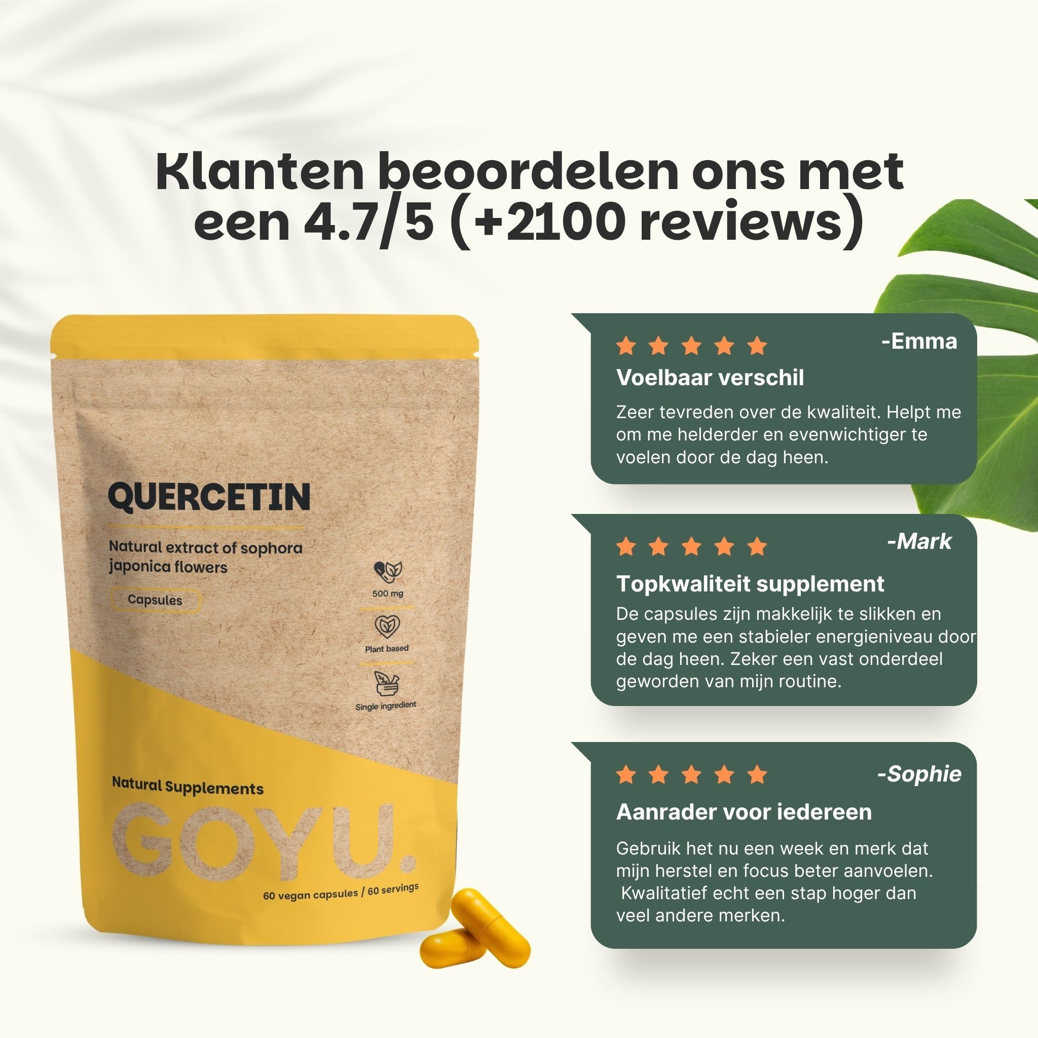 Verpakking met Quercetine capsules, 500 mg. Lijst met kenmerken: 100% natuurlijk, vegan, brievenbuspakket.