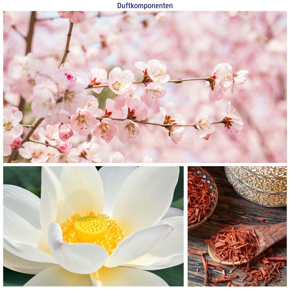 Trois images : branches de fleurs de cerisier, fleur de lotus blanche et copeaux de bois dans des bols et une cuillère. Texte : Composants parfumés.