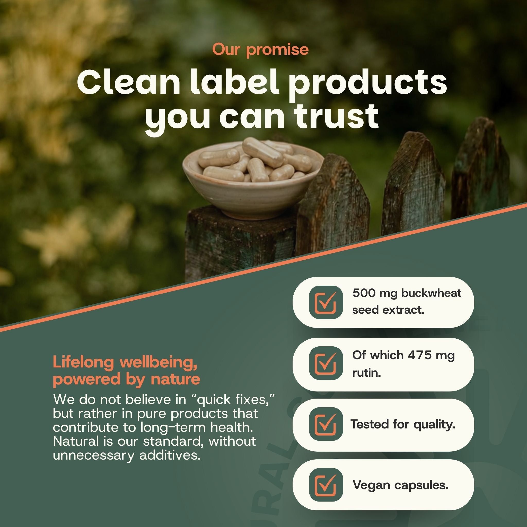 Promesse : Produits à étiquette propre auxquels vous pouvez faire confiance. Bien-être durable, alimenté par la nature.