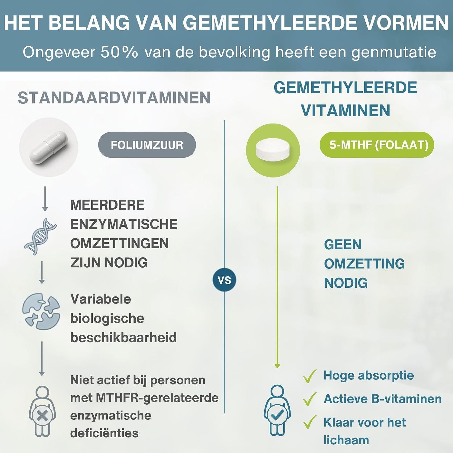 Vergelijking: Standaardvitaminen vs. gemethyleerde vitaminen (L-Methylfolaat).