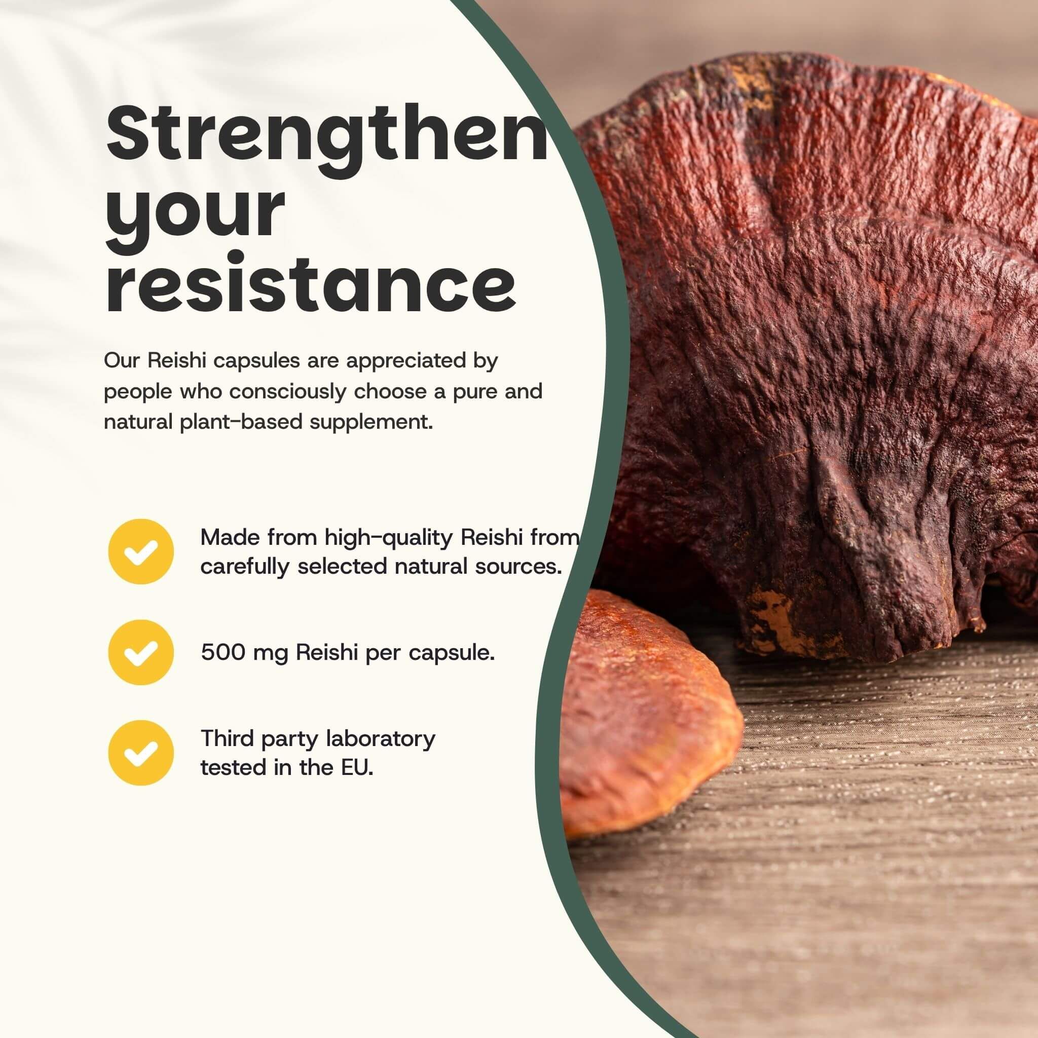 Texte : Renforcez votre résistance. Gélules de Reishi. 500 mg de Reishi par gélule. Testé en laboratoire dans l'UE.
