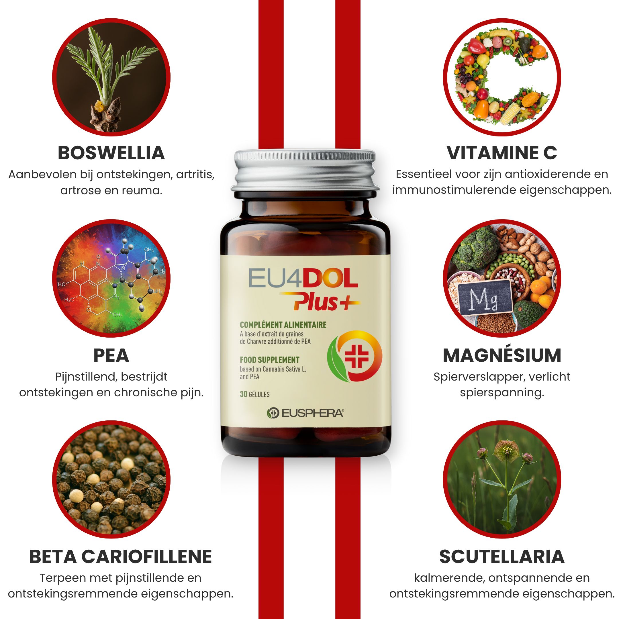 Ingrediënten en fles EU4DOL Plus+. Boswellia, Vitamine C, PEA, Magnesium, Bèta-caryofylleen, Scutellaria.