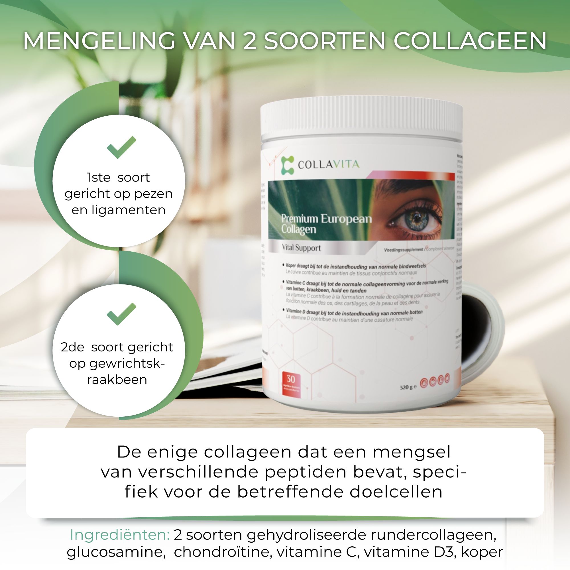 Collavita Vital Support