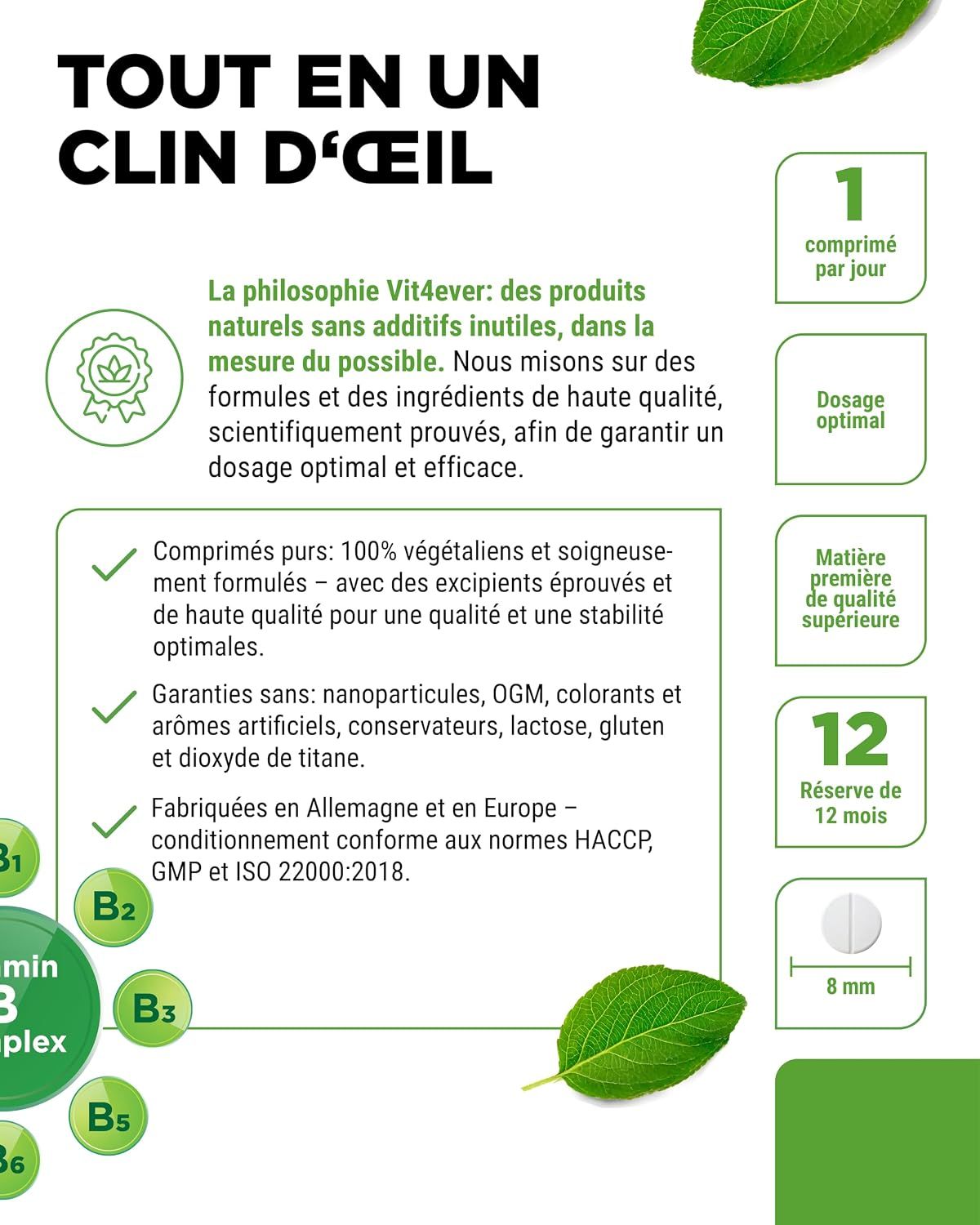 Vit4ever Complexe de Vitamine B: Haute pureté, ingrédients 100% vegan.