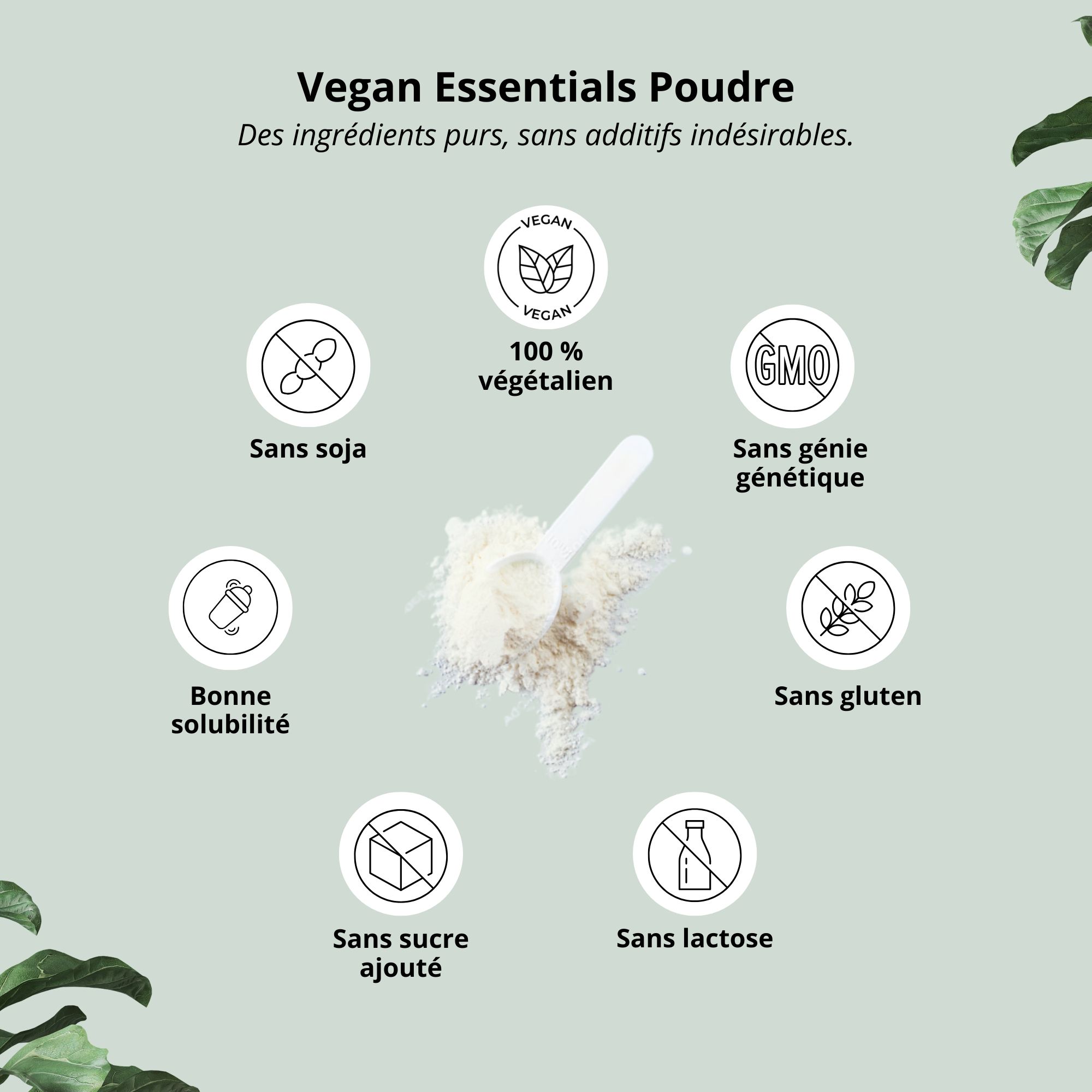 Poudre Nutri+ Vegan Essentials: Pure, sans additifs. Vegan, sans OGM, sans soja, sans gluten, sans sucre, sans lactose. Poudre avec cuillère.