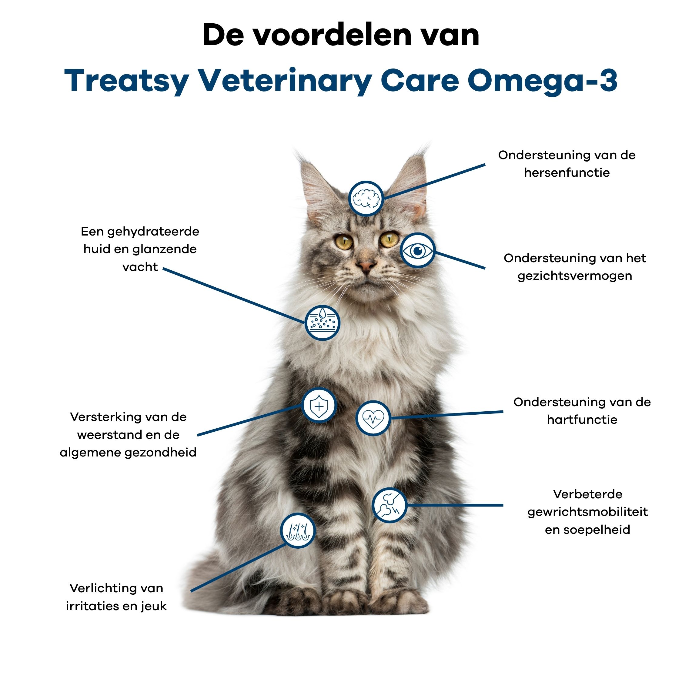 Kat met markeringen voor voordelen van Omega-3: hersenen, ogen, huid, immuniteit, hart, gewrichten.