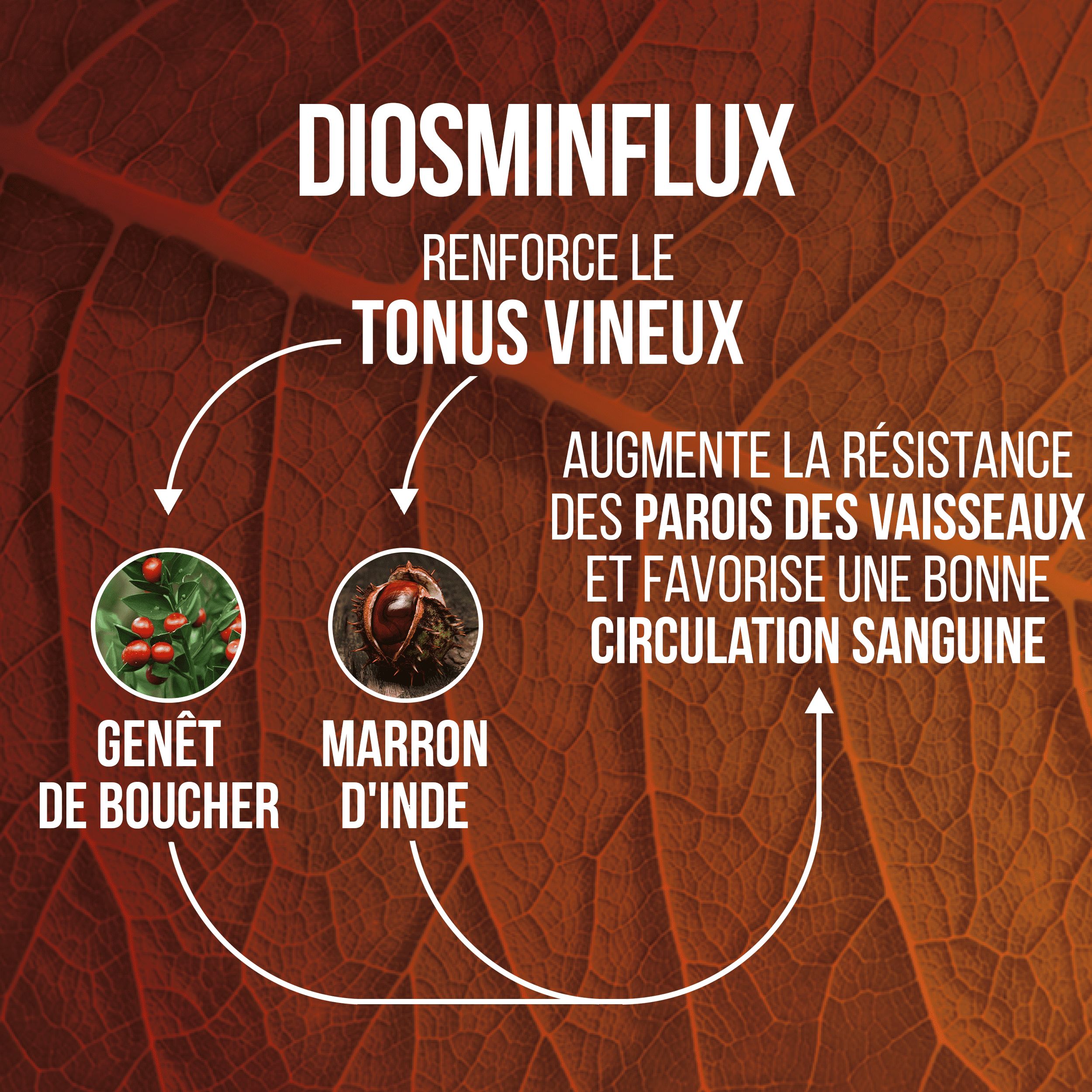 LA.GA Diosminflux © Diosmine et Hespéridine pour Microcirculation, Hémorroïdes et Varices