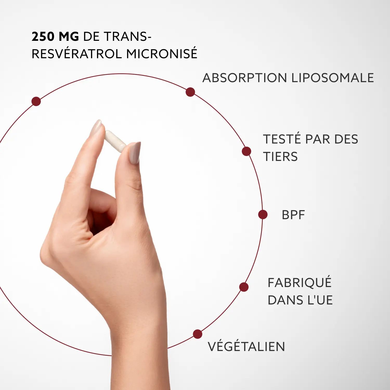 Main tenant une capsule. Texte: 250 mg de trans-resvératrol micronisé, absorption liposomale, végétalien.