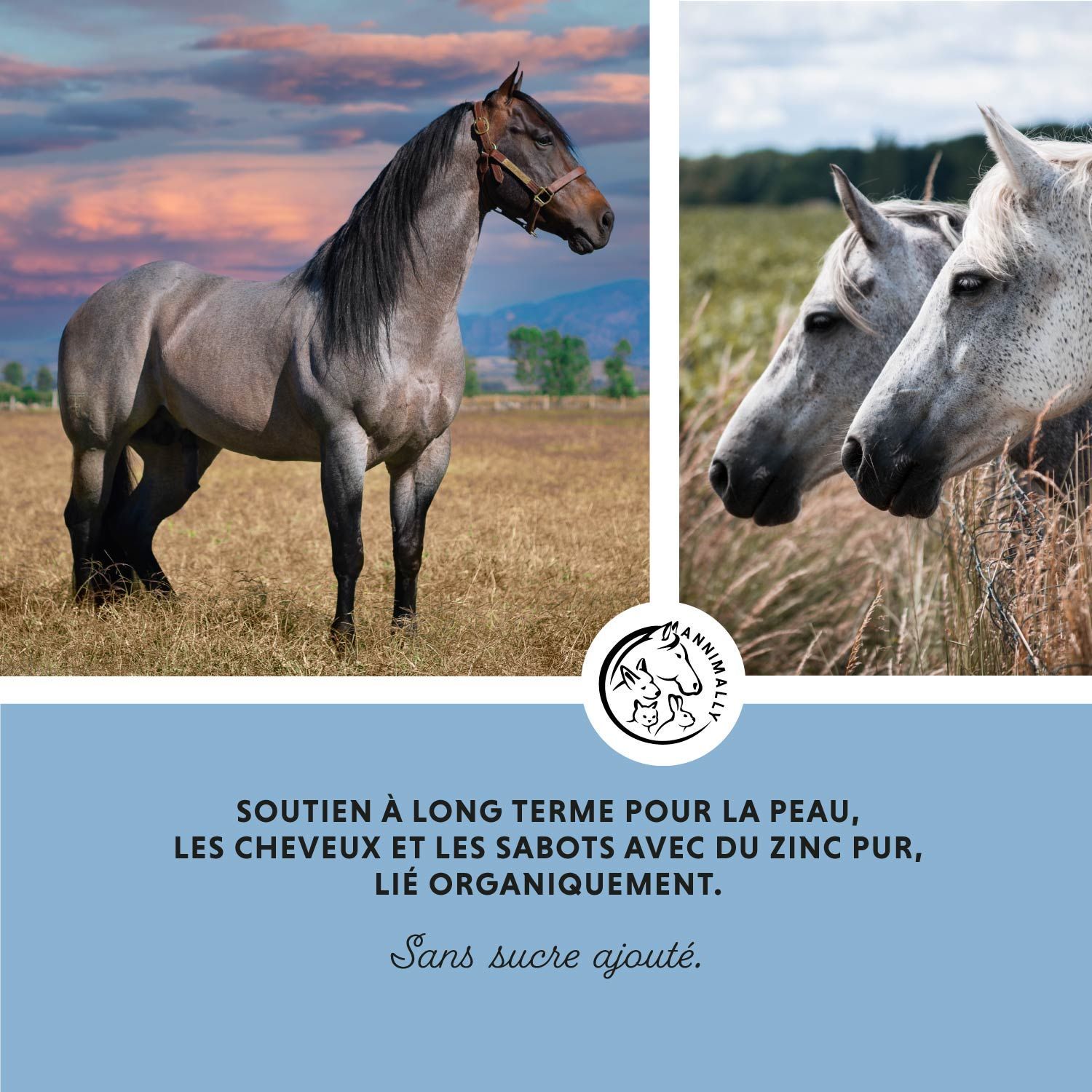 Deux chevaux dans un champ. Texte: Recommandations alimentaires. Contenu: 700 g. Fabriqué en Allemagne. Logo.