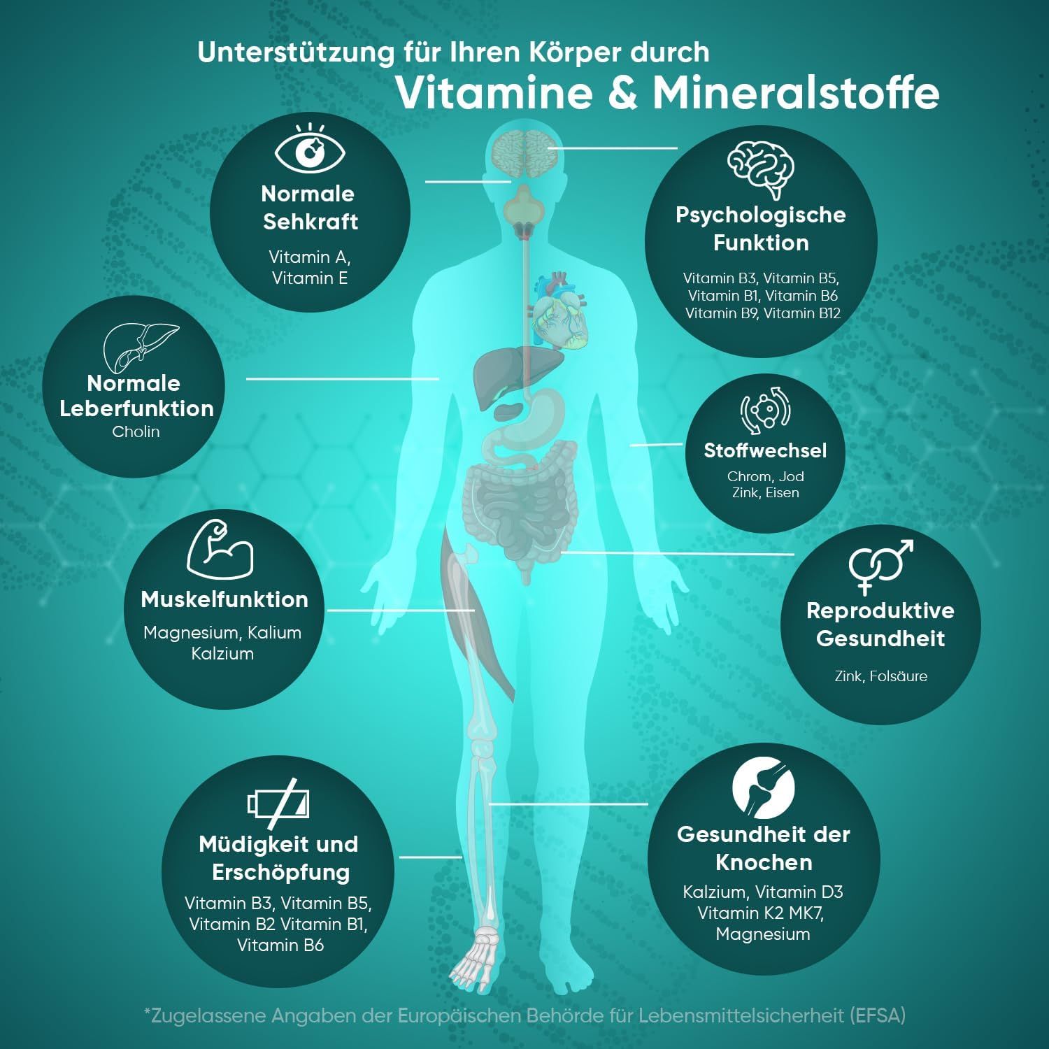 Graphique montrant le soutien du corps par les vitamines et les minéraux.