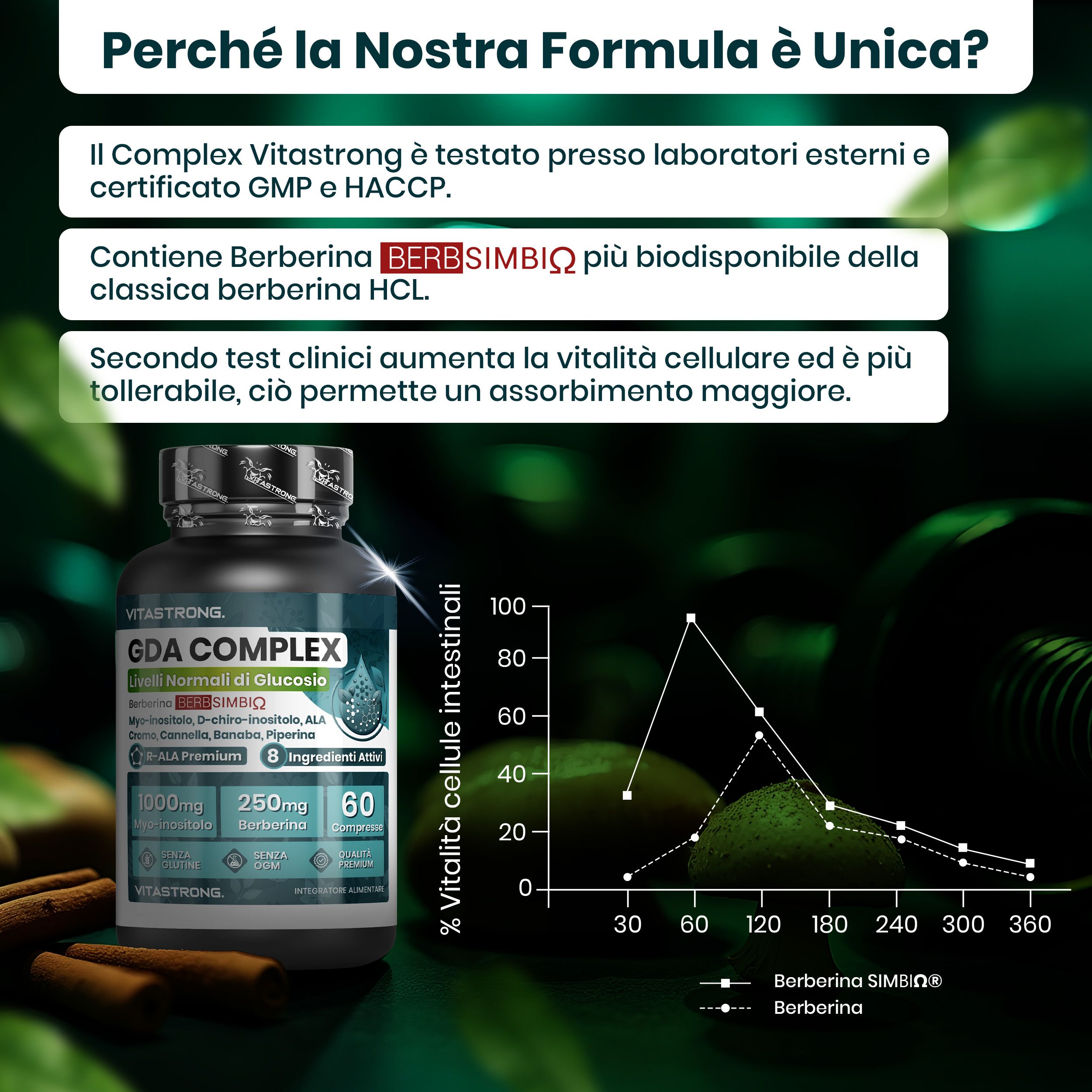 Vitastrong GDA Complex, 60 comprimés. Emballage et graphique. Texte: Berbérine, 60 comprimés, sans gluten, sans OGM.