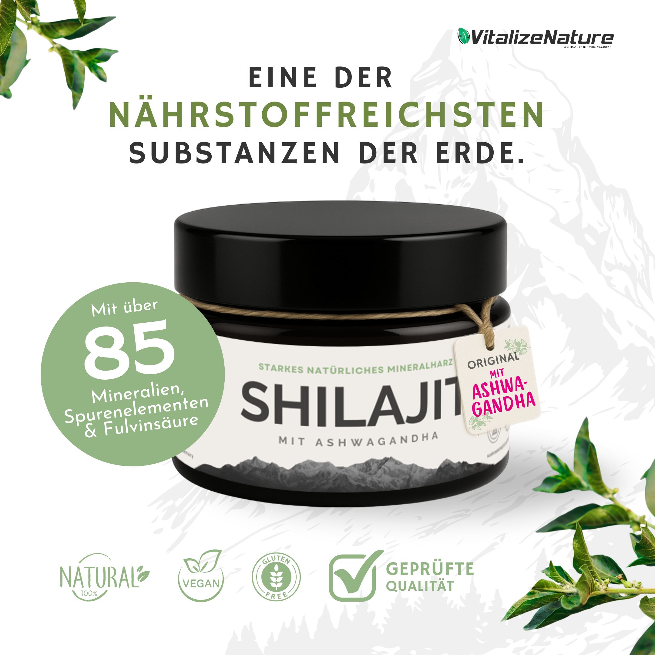 VitalizeNature Shilajit met Ashwagandha
