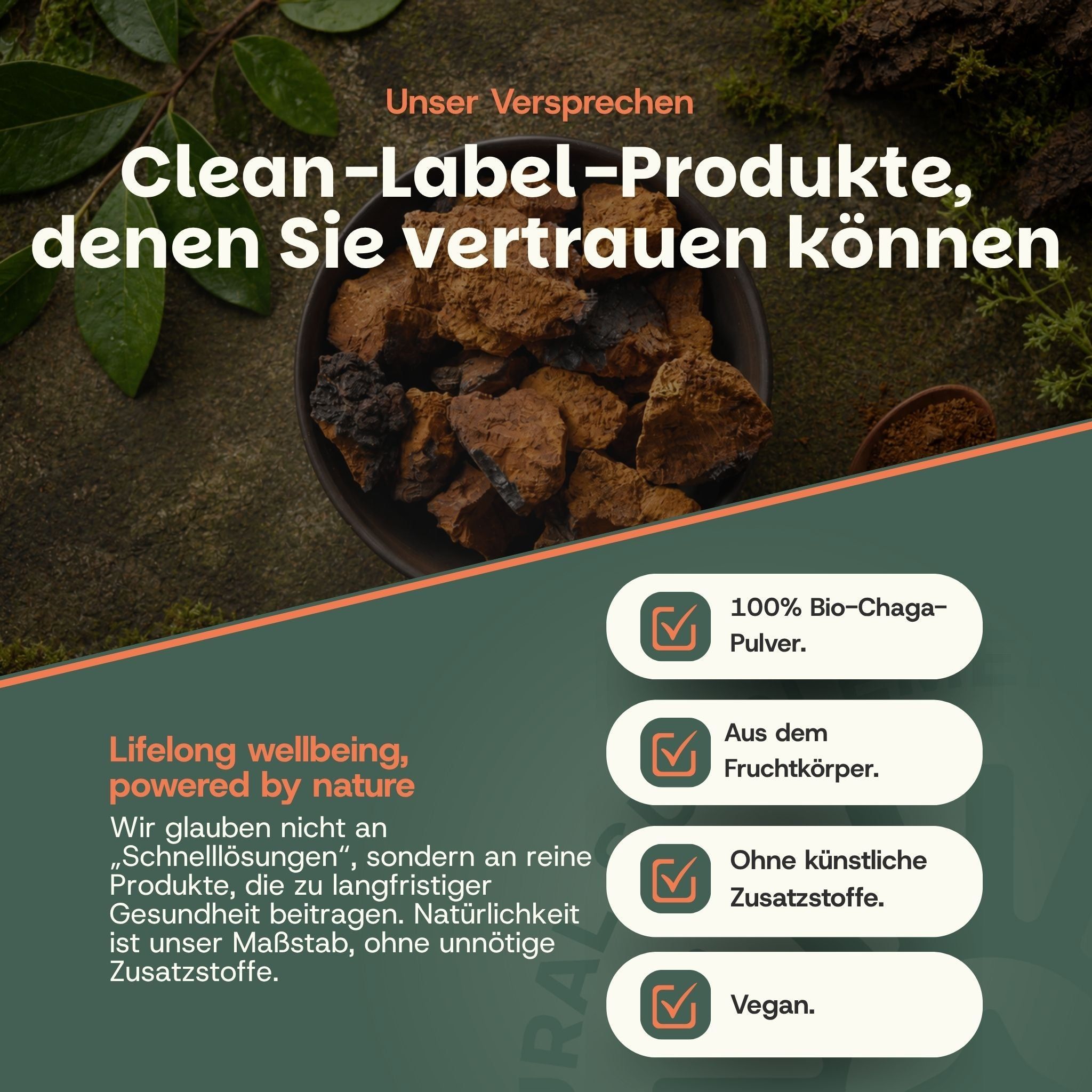 Schaal met stukken Chaga-paddenstoel. Indicaties: 100% biologisch Chaga-poeder, uit het vruchtlichaam, zonder kunstmatige toevoegingen, vegan.